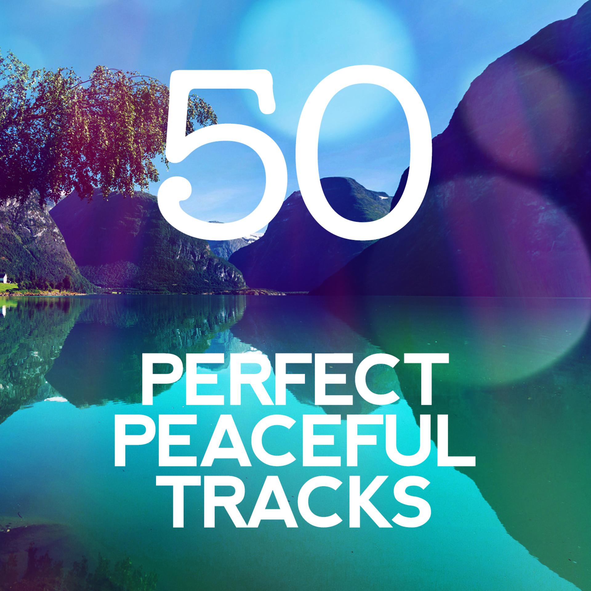 Постер альбома 50 Perfect Peaceful Tracks