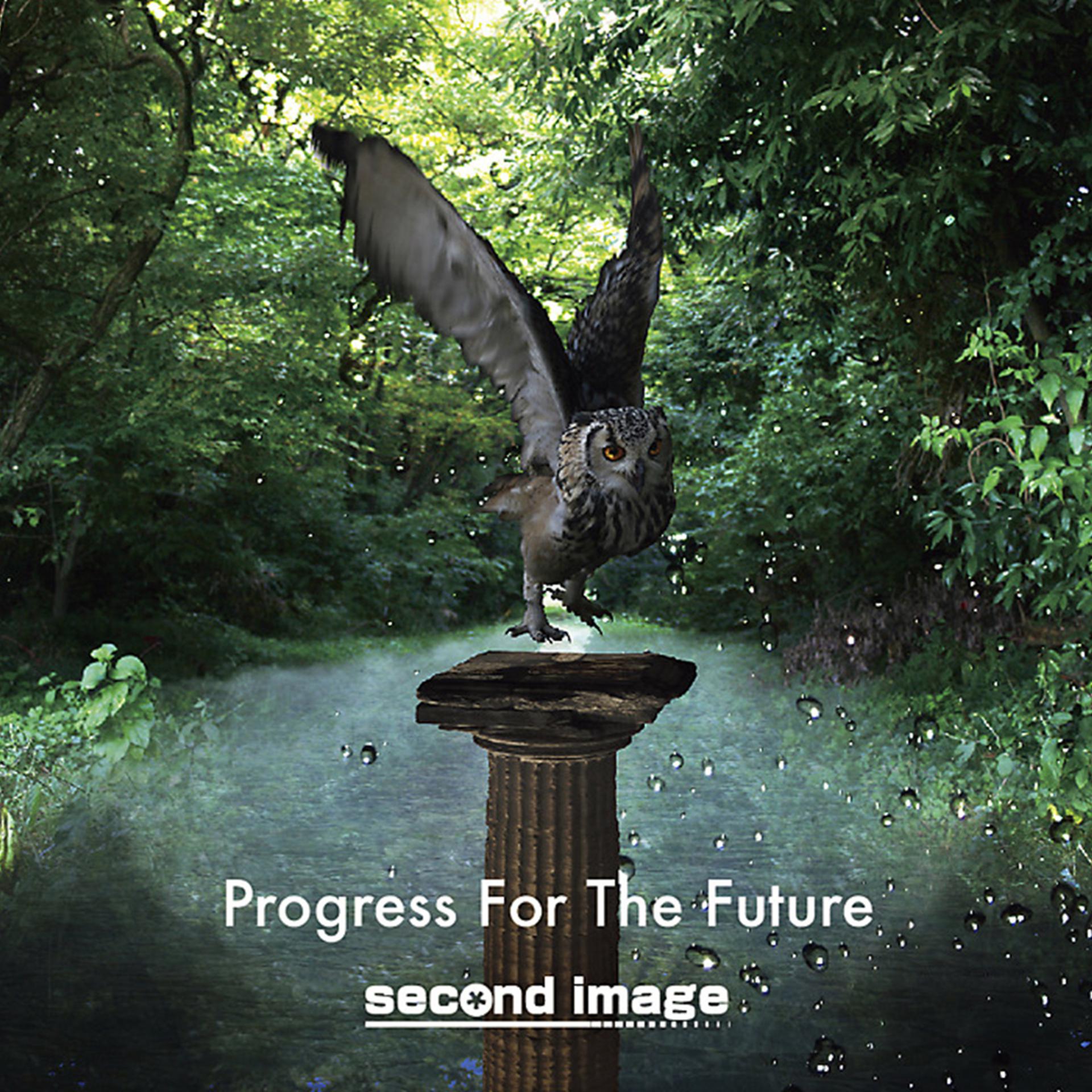 Постер альбома Progress for the Future