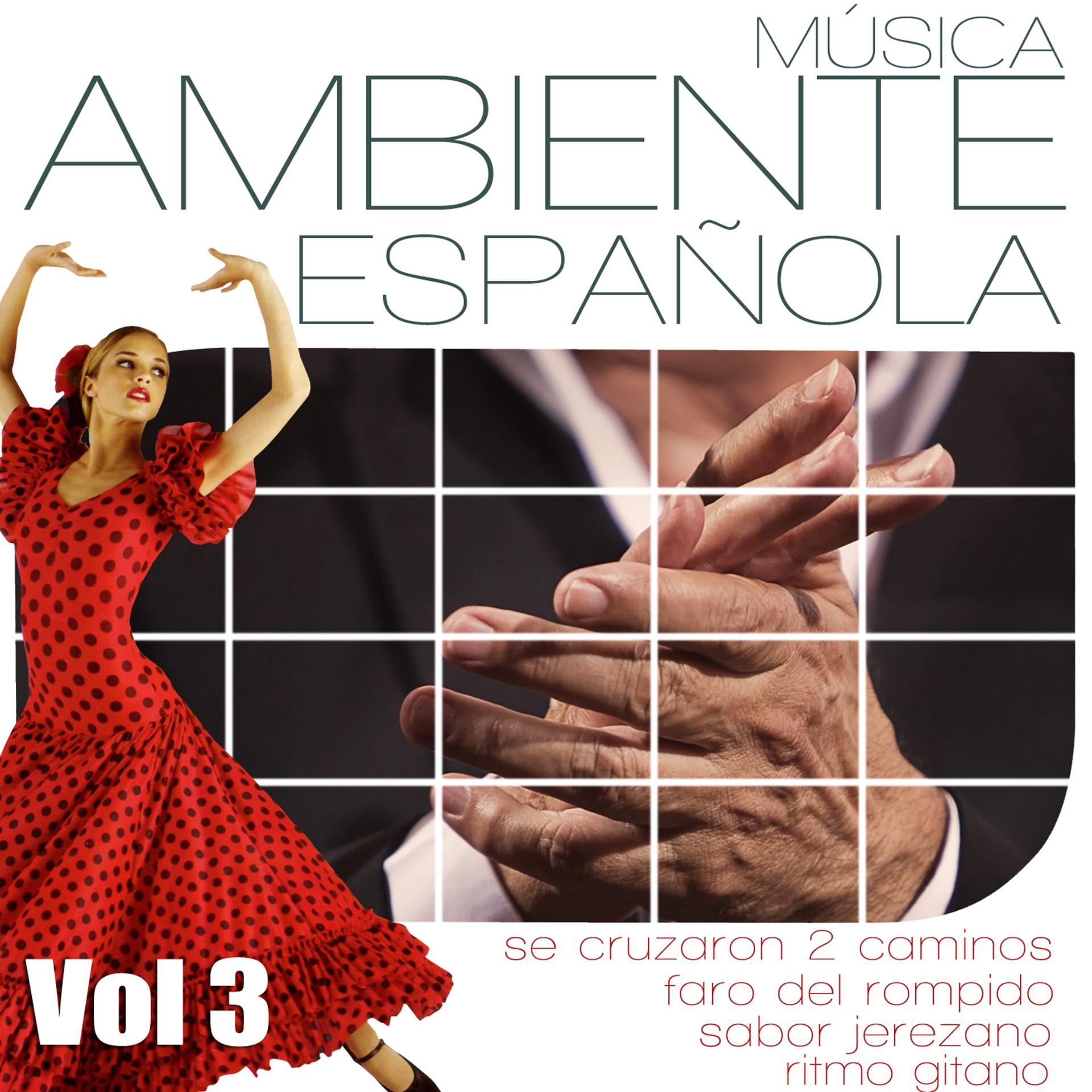Постер альбома Musica Ambiente Española .Flauta, Guitarra y Compas Flamenco. Vol 3