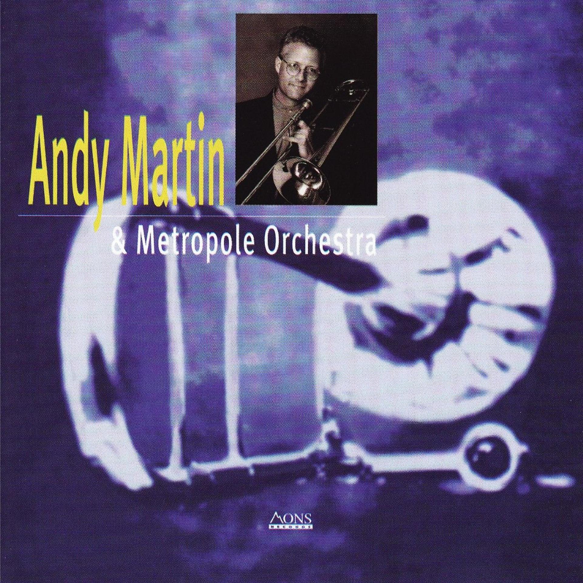 Постер альбома Andy Martin