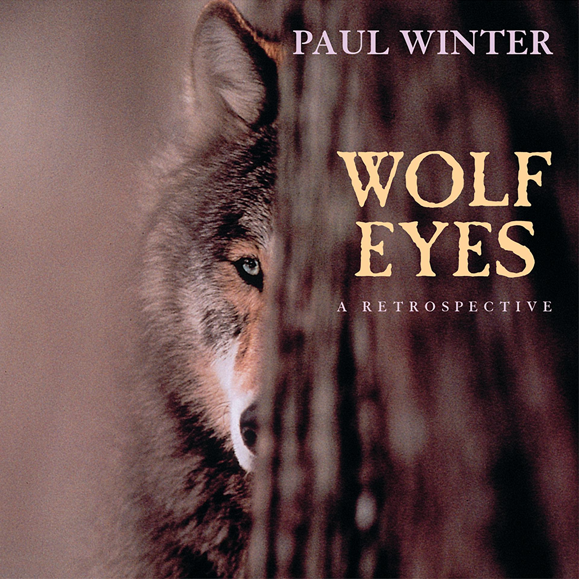 Постер альбома Wolf Eyes - a Retrospective