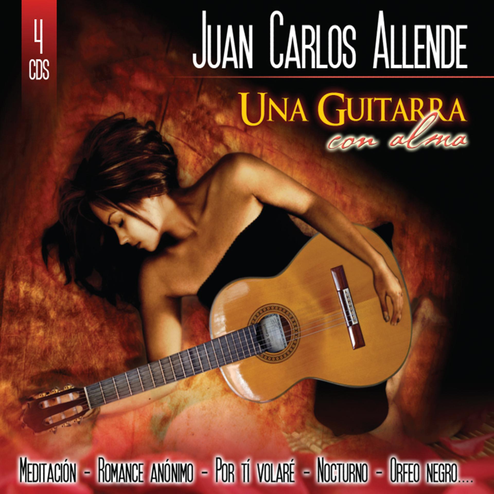 Постер альбома Una guitarra con alma