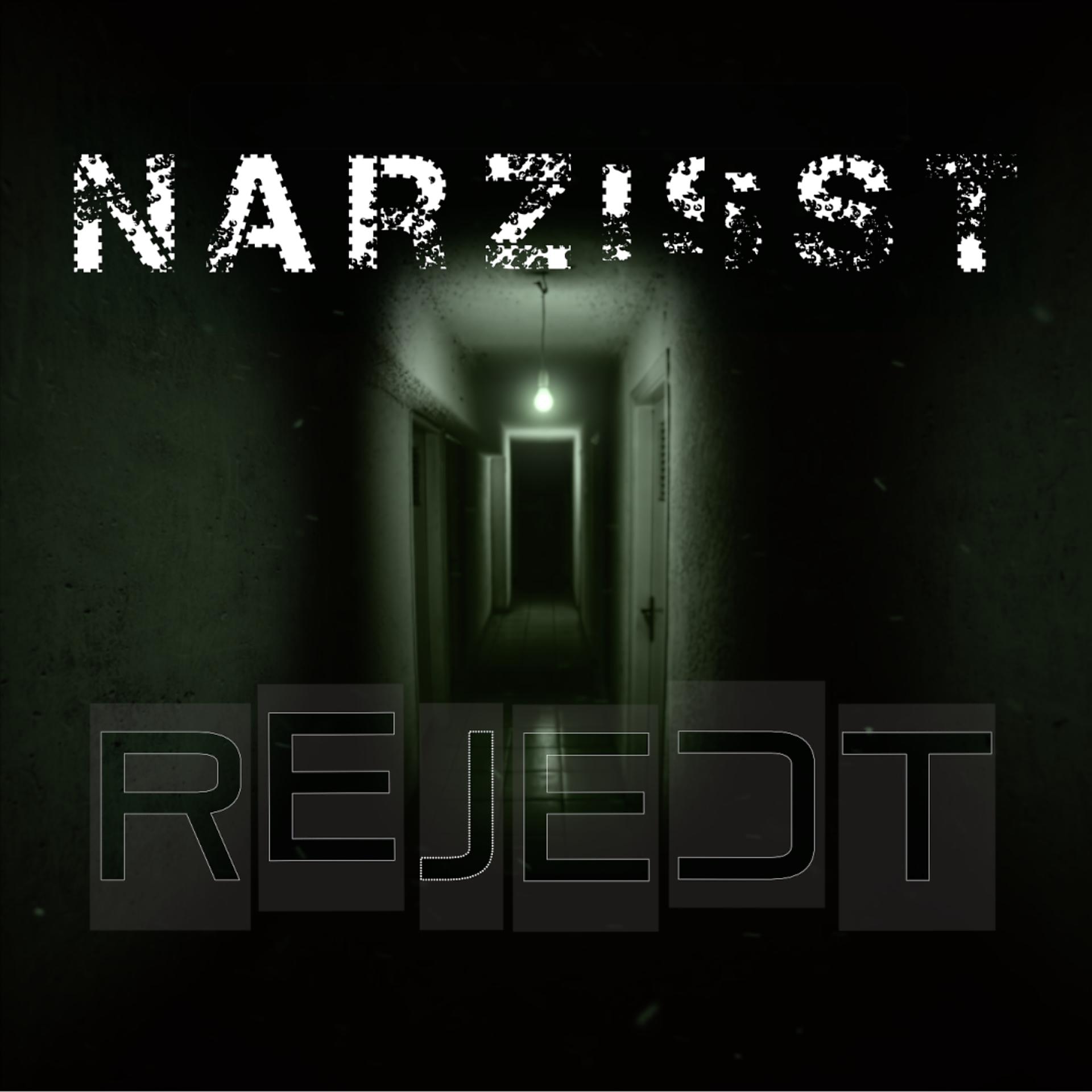 Постер альбома Narzisst