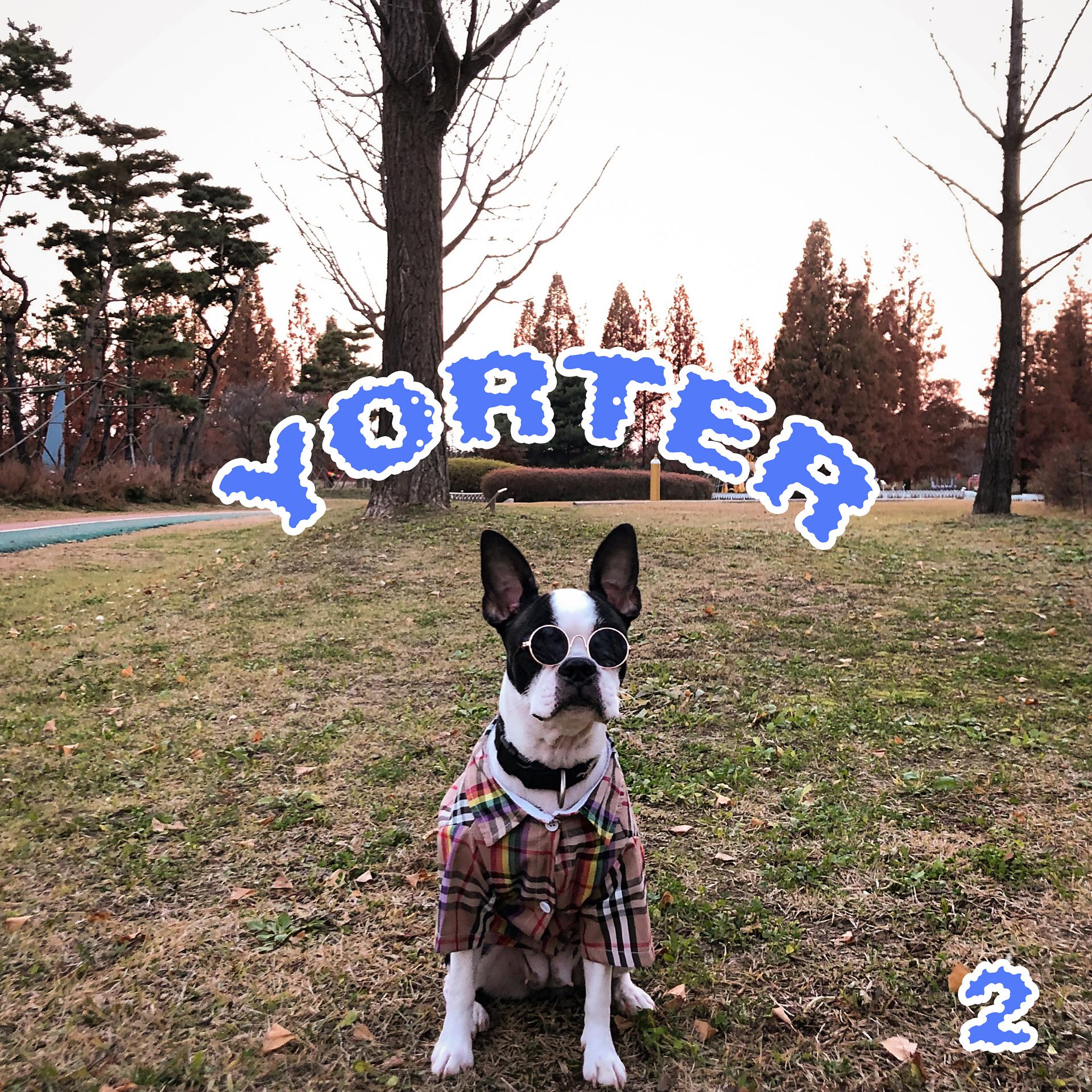 Постер альбома yorter 2