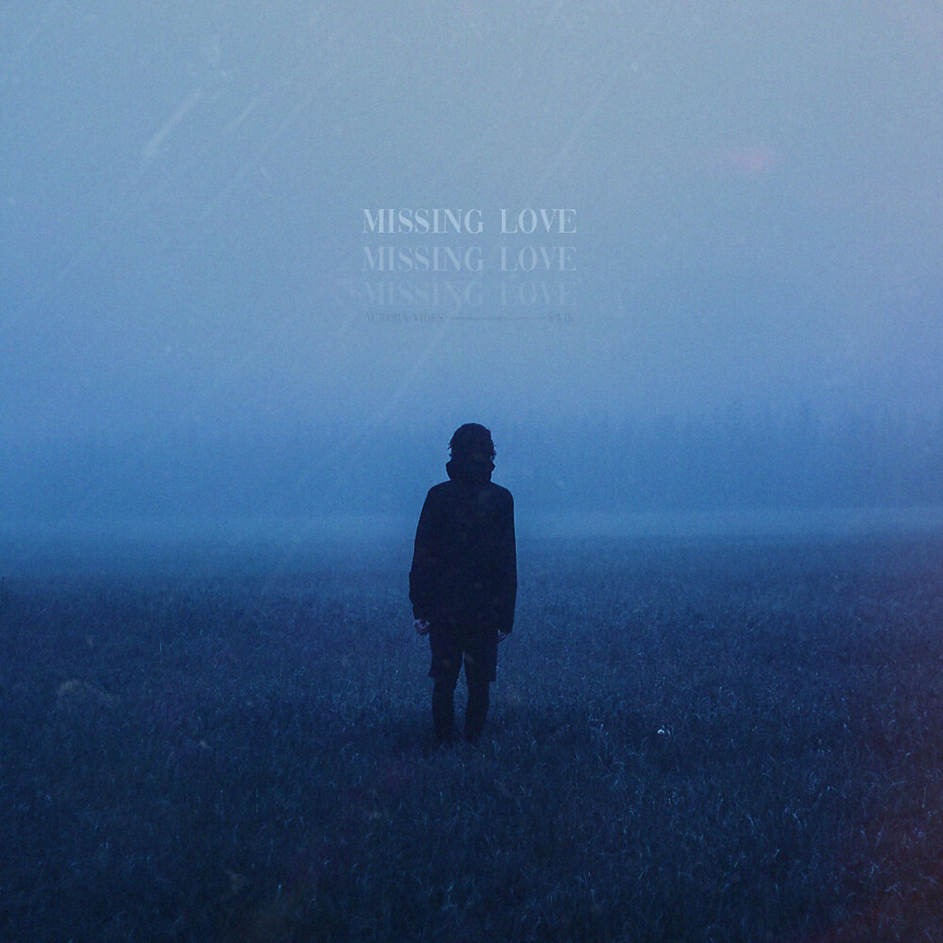 Постер альбома Missing Love