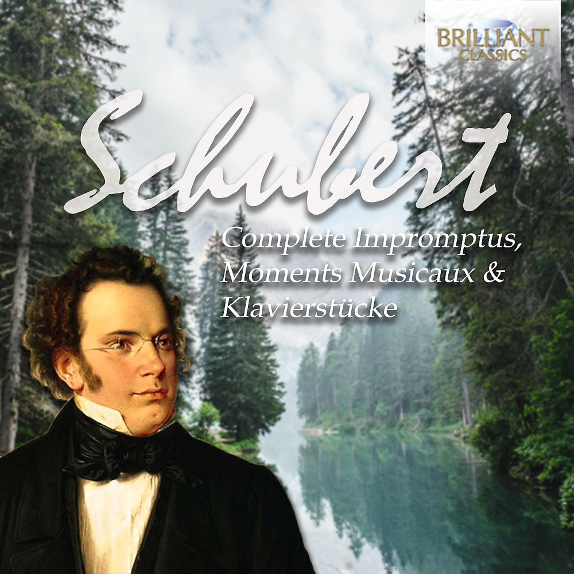 Постер альбома Schubert: Complete Impromptus