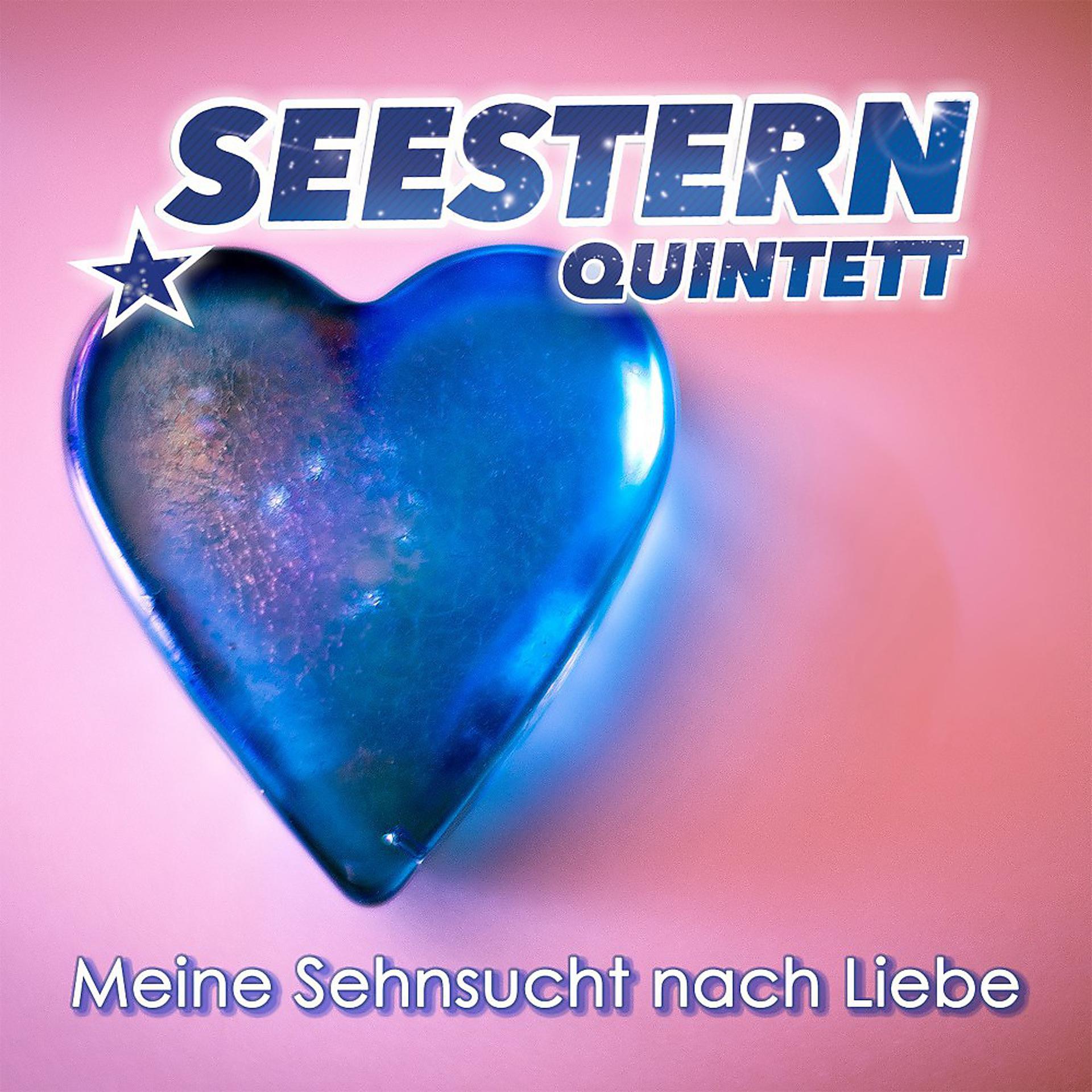 Постер альбома Meine Sehnsucht nach Liebe