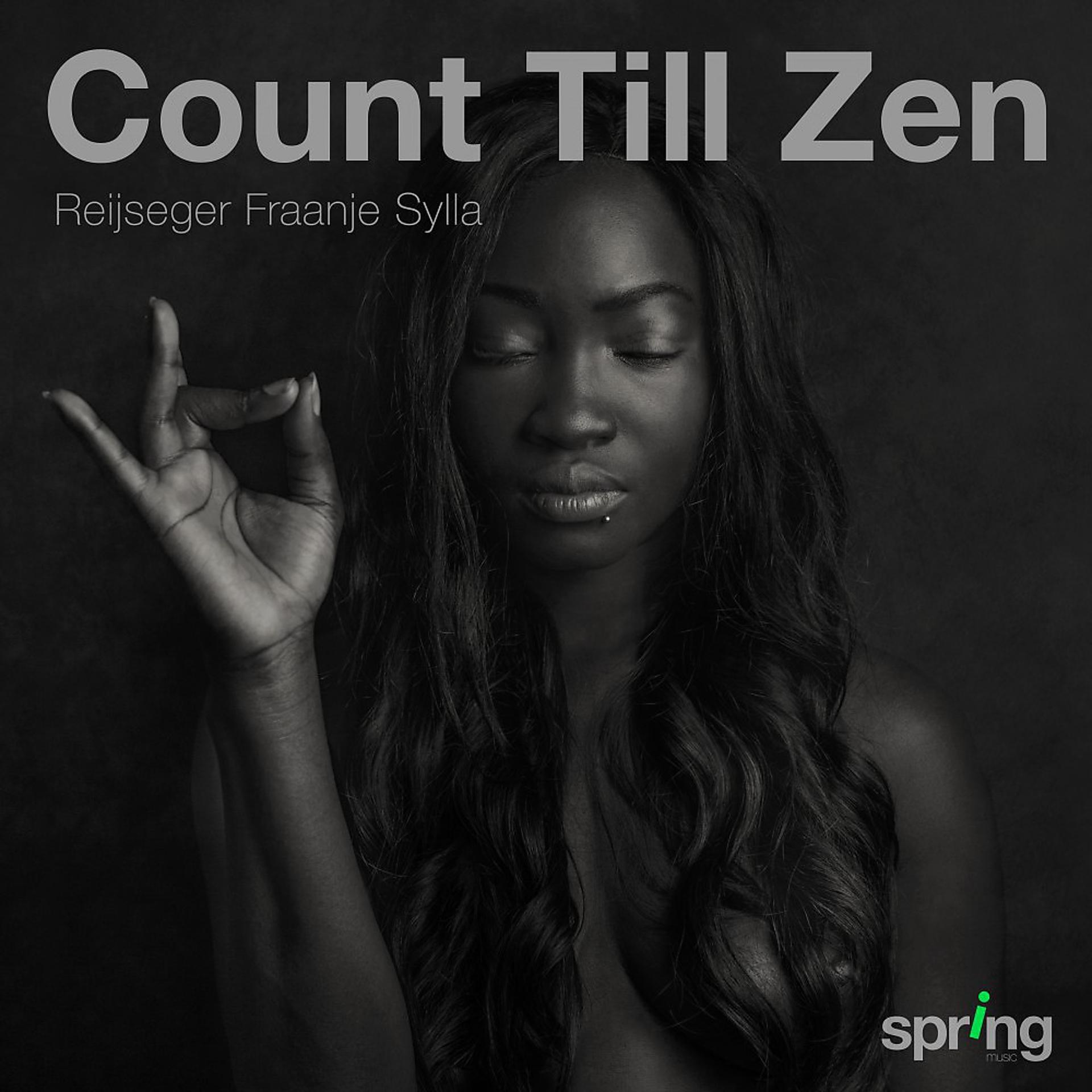 Постер альбома Count Till Zen