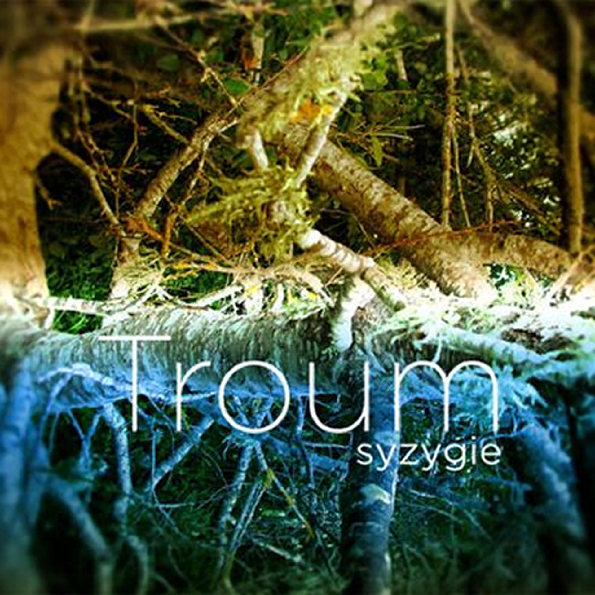 Постер альбома Syzygie