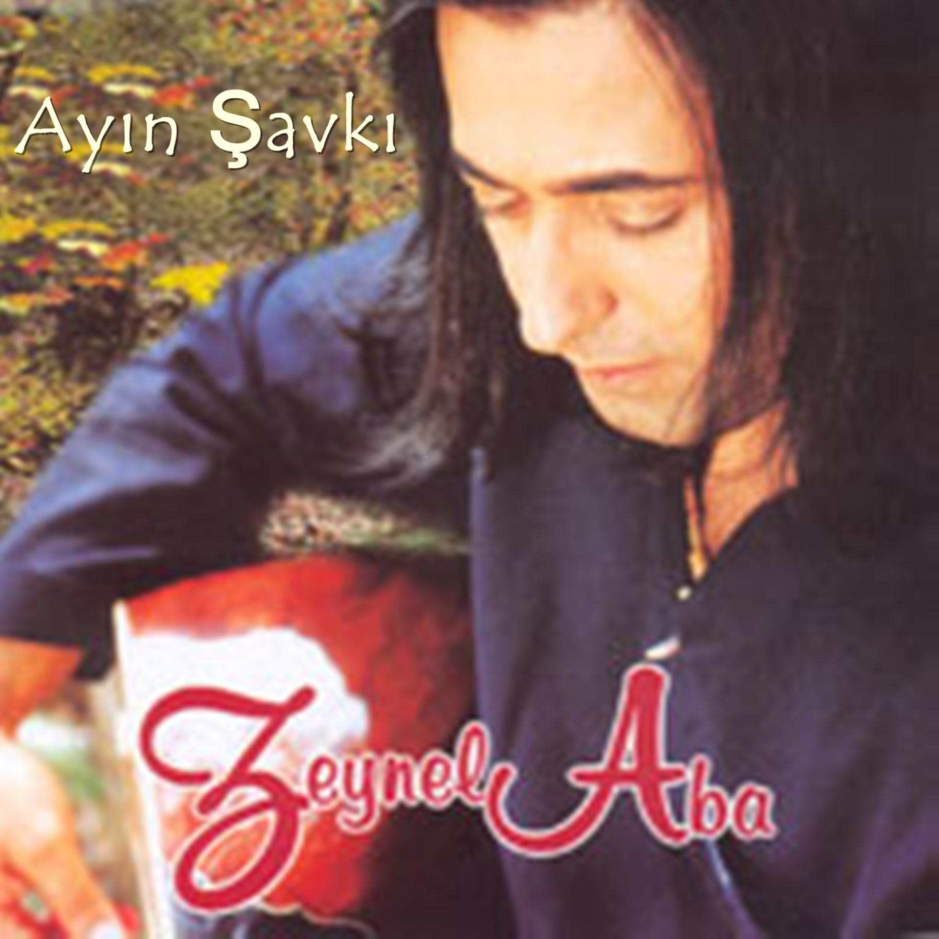 Постер альбома Ayın Şavkı