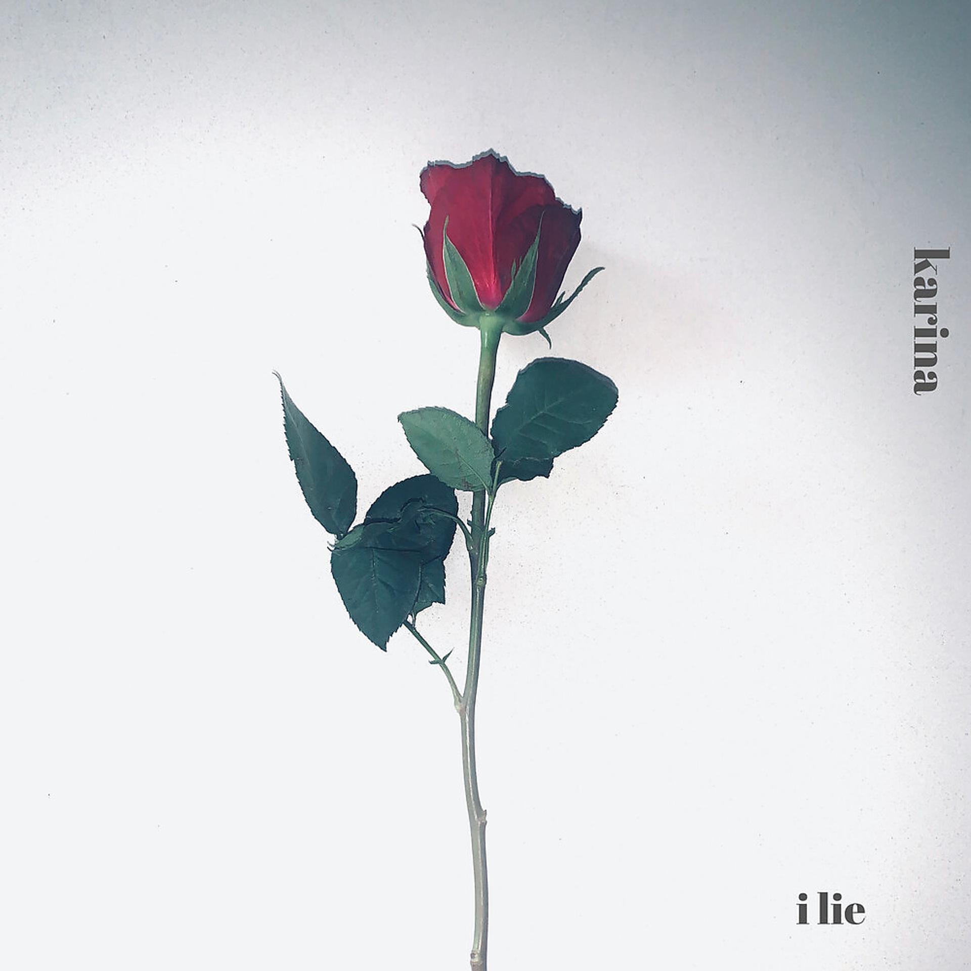 Постер альбома I Lie