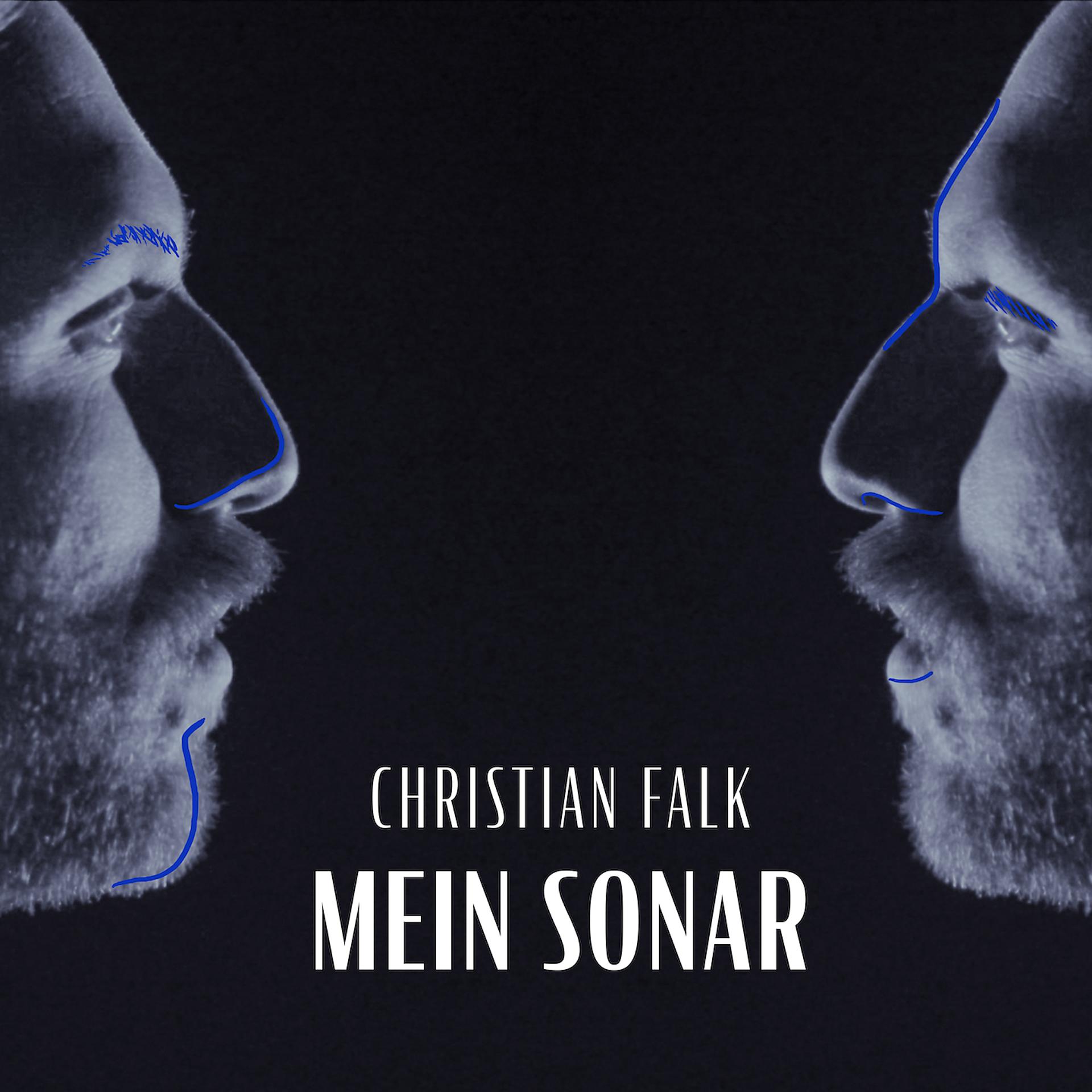 Постер альбома Mein Sonar