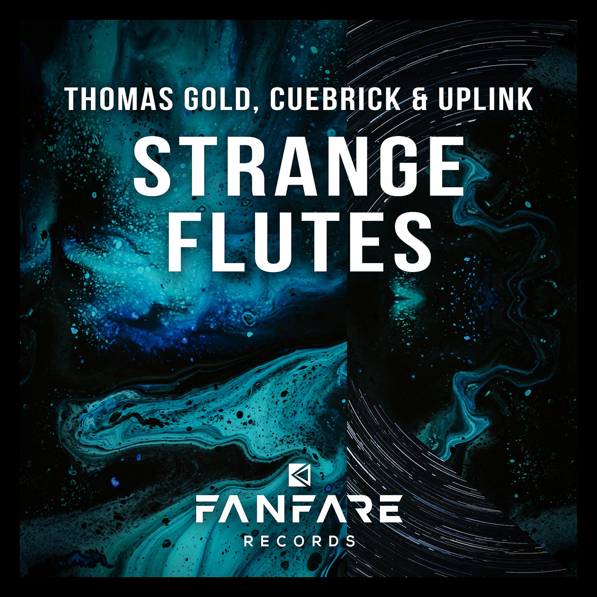 Постер альбома Strange Flutes