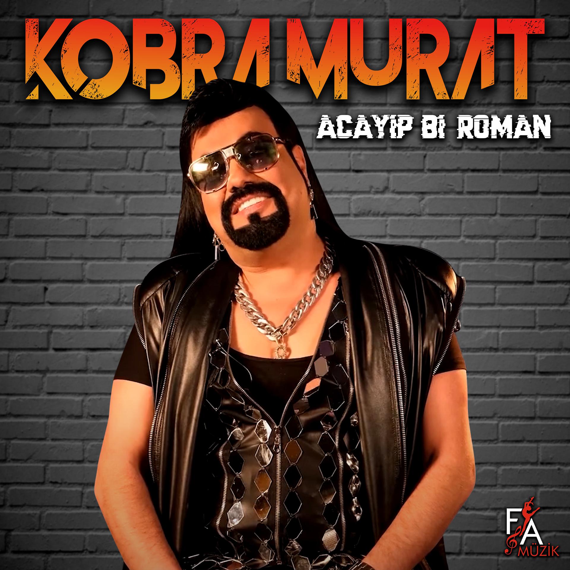 Постер альбома Acayip Bi Roman