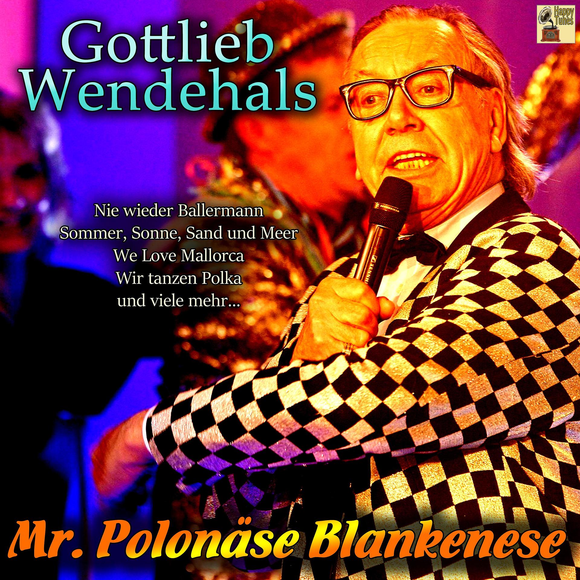 Постер альбома Mr. Polonäse Blankenese