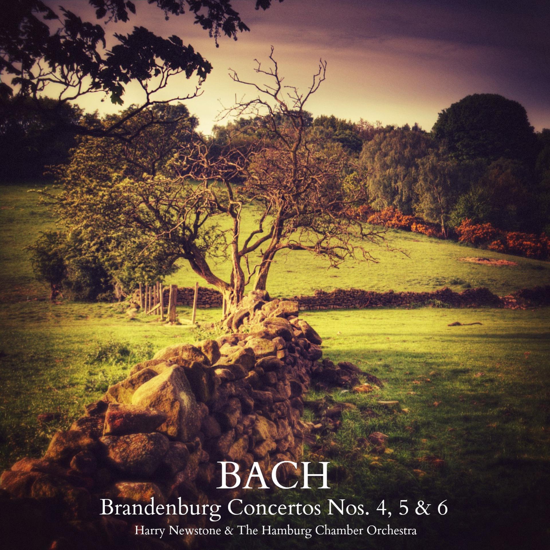 Постер альбома Bach: Brandenburg Concertos Nos. 4, 5 & 6