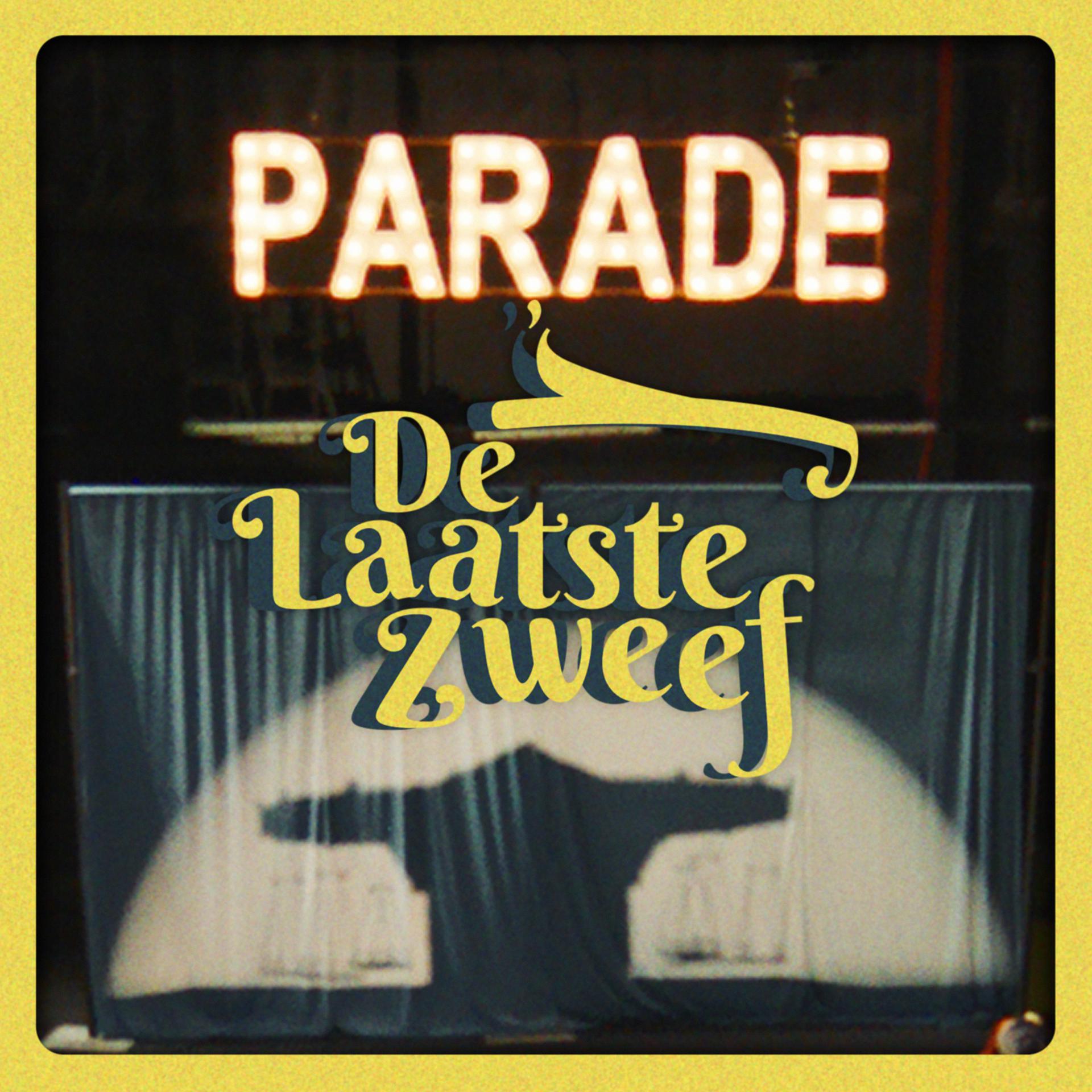 Постер альбома De Laatste Zweef