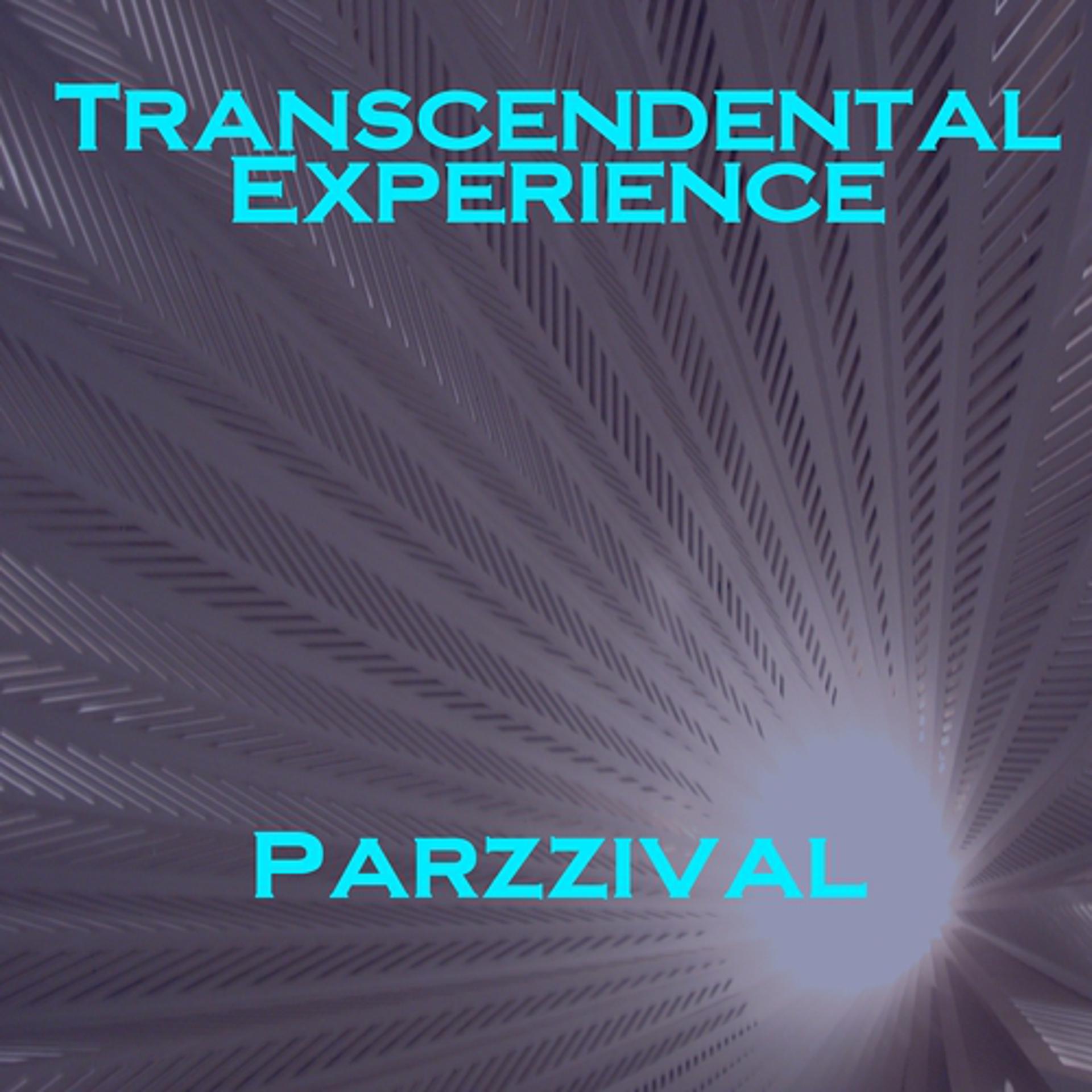 Постер альбома Transcendental Experience