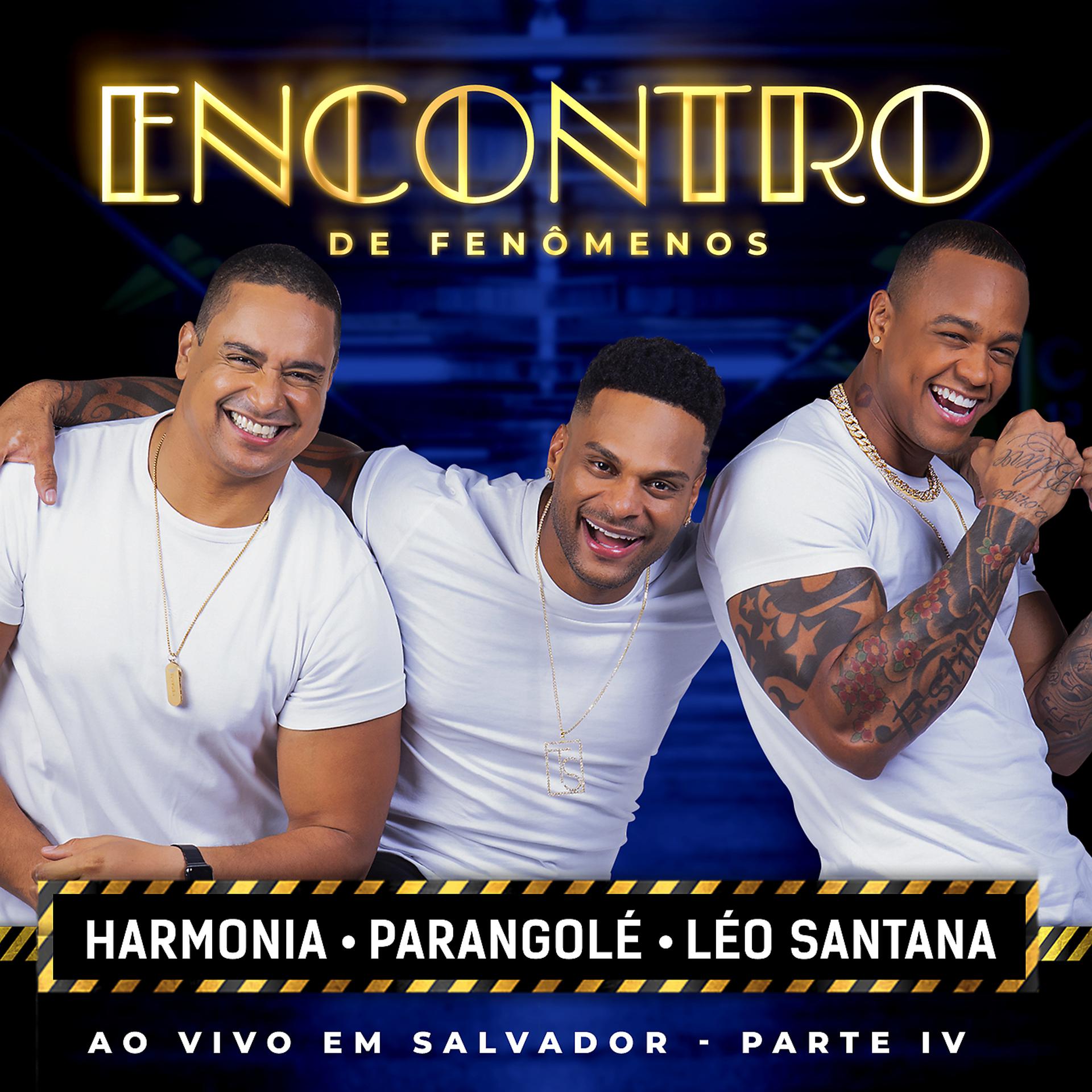Постер альбома Encontro De Fenômenos