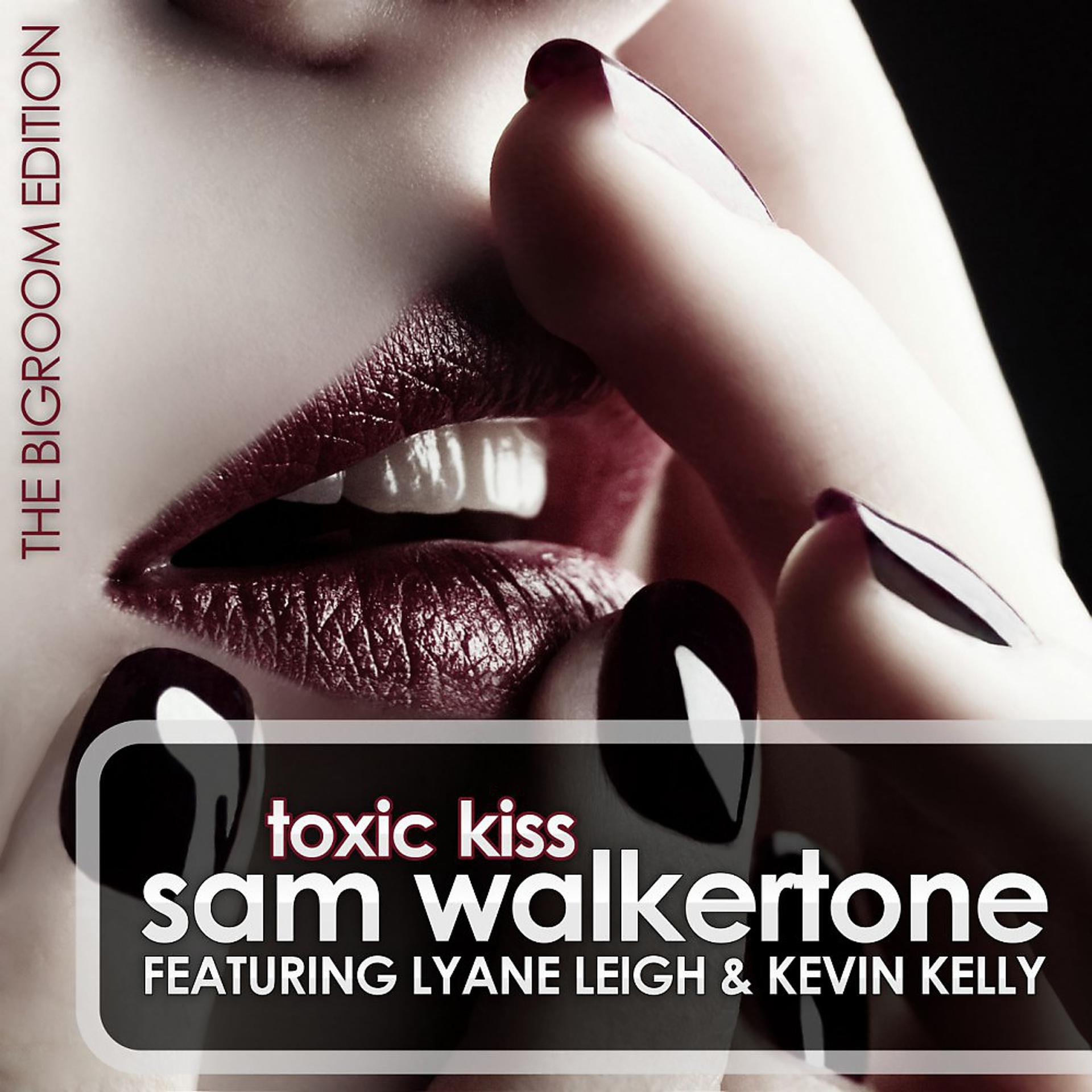Постер альбома Toxic Kiss (Bigroom Edition)