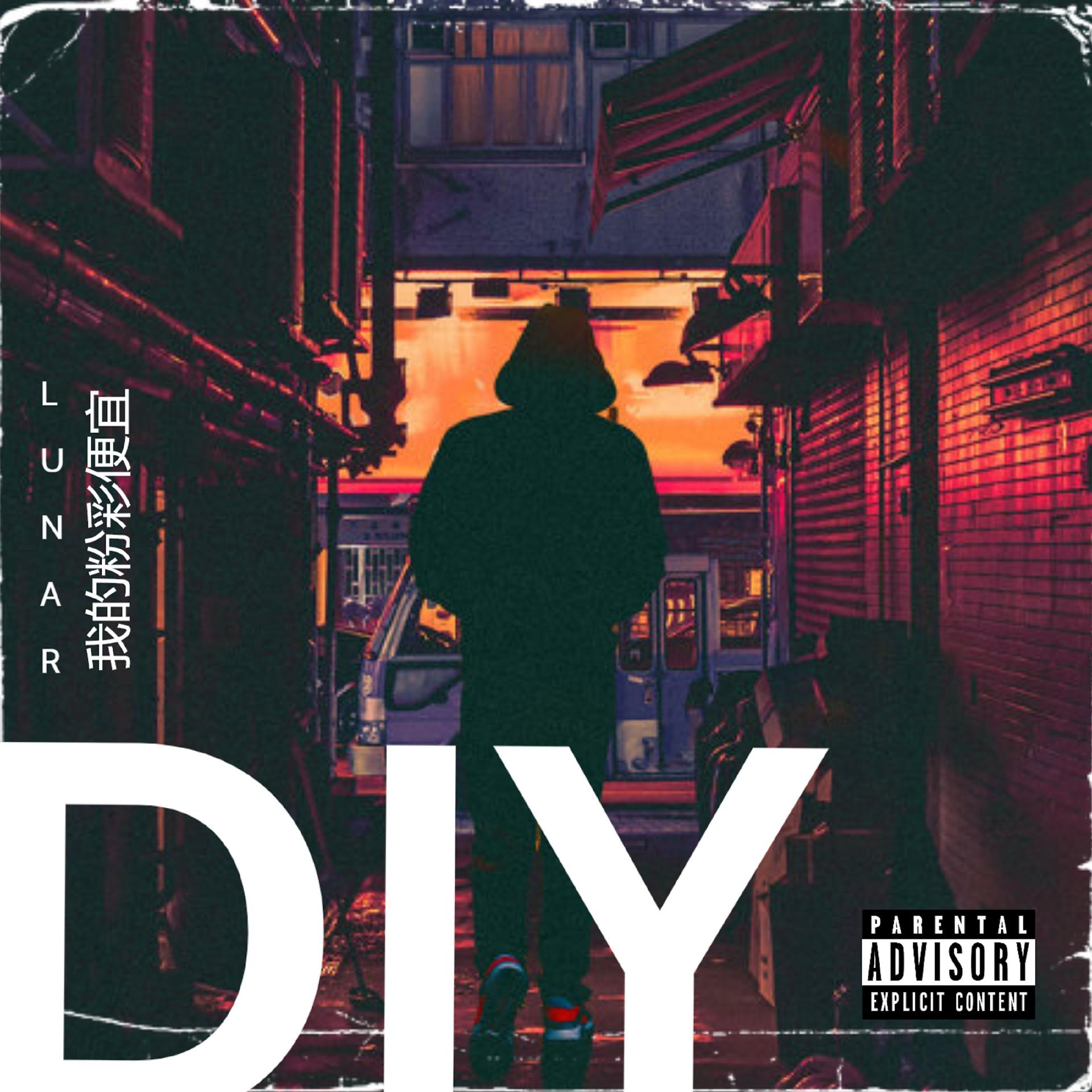 Постер альбома Diy (Do It Yourself)