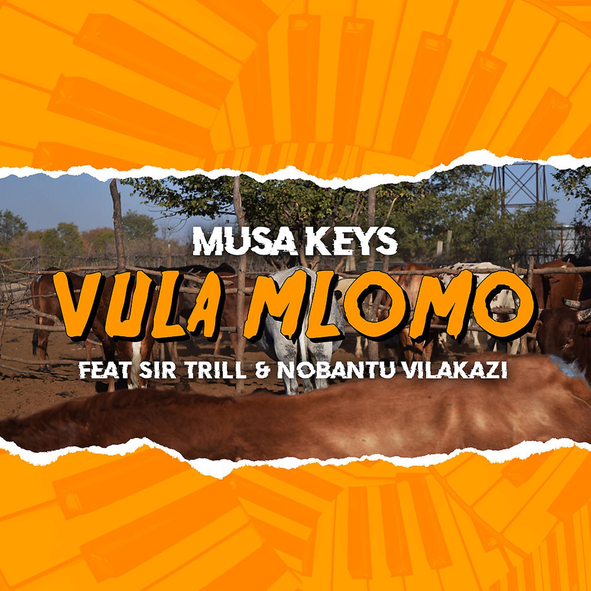 Постер альбома Vula Mlomo