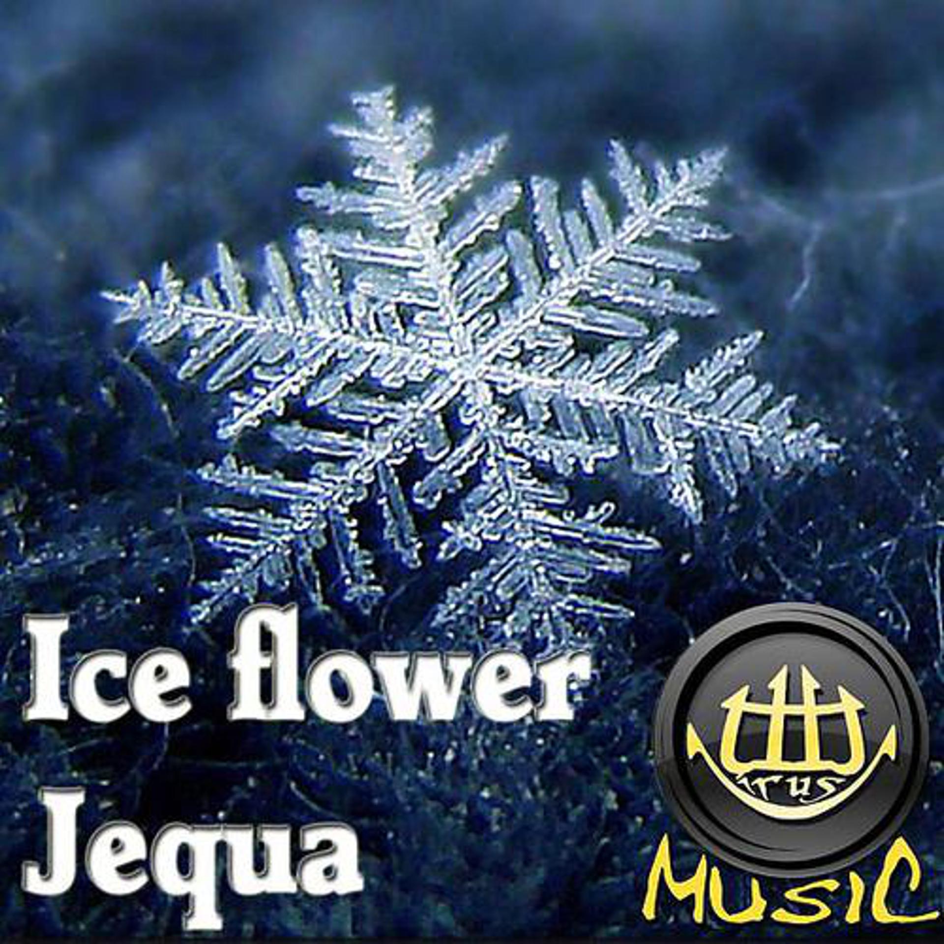 Постер альбома Jequa - Ice Flower