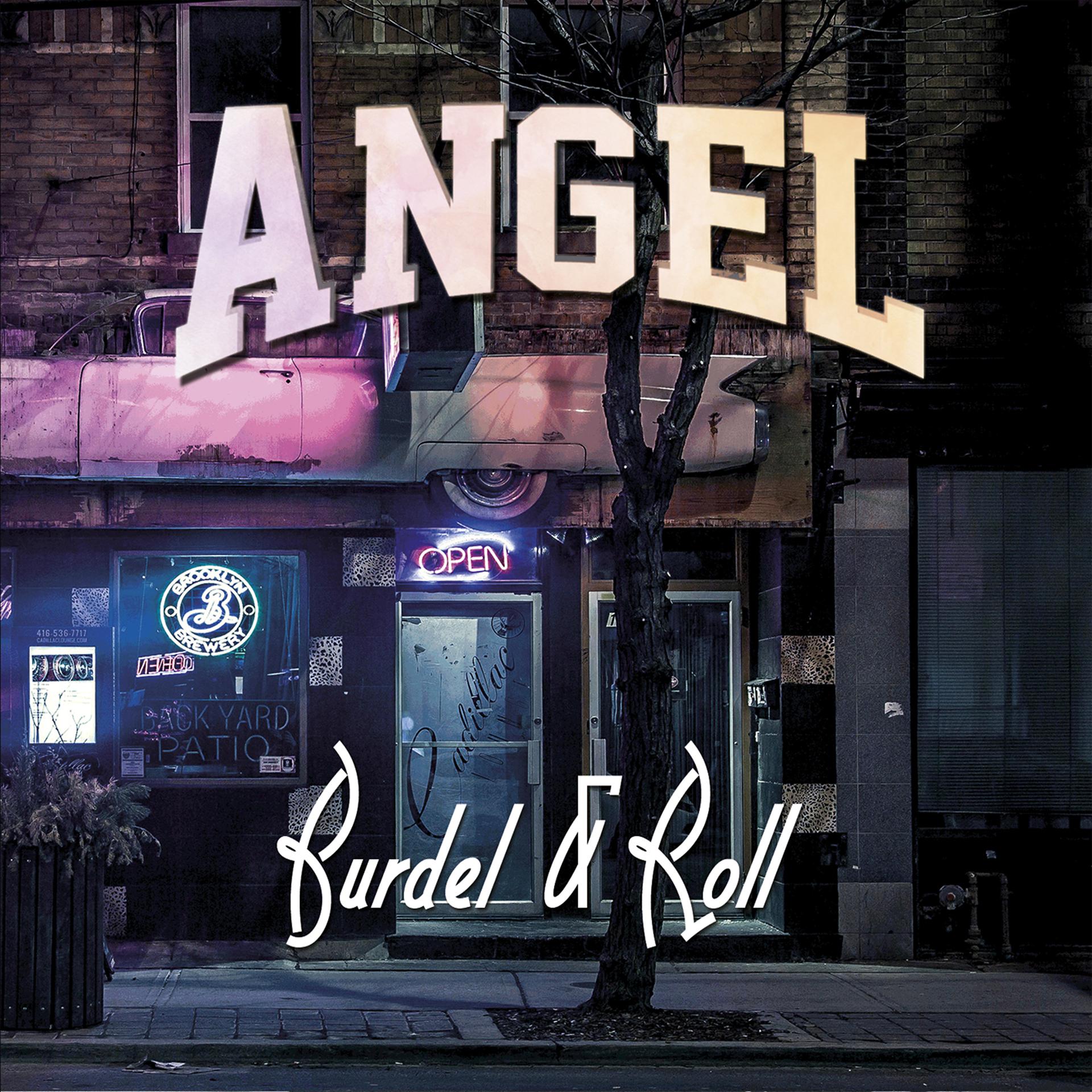 Постер альбома Burdel & Roll