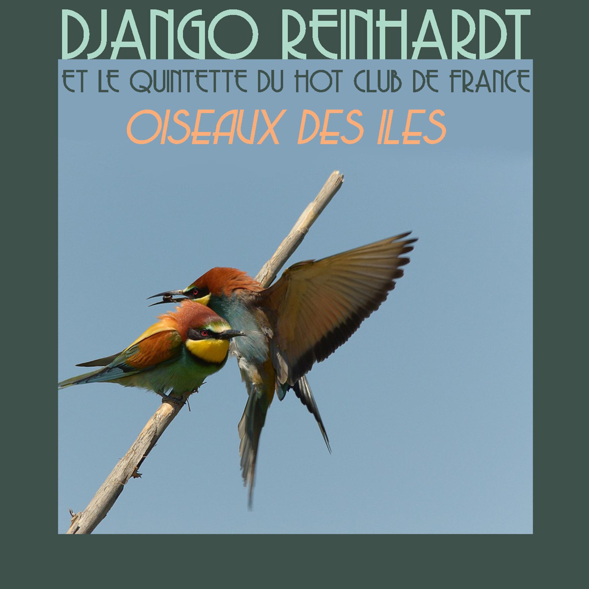 Постер альбома Oiseaux Des Iles