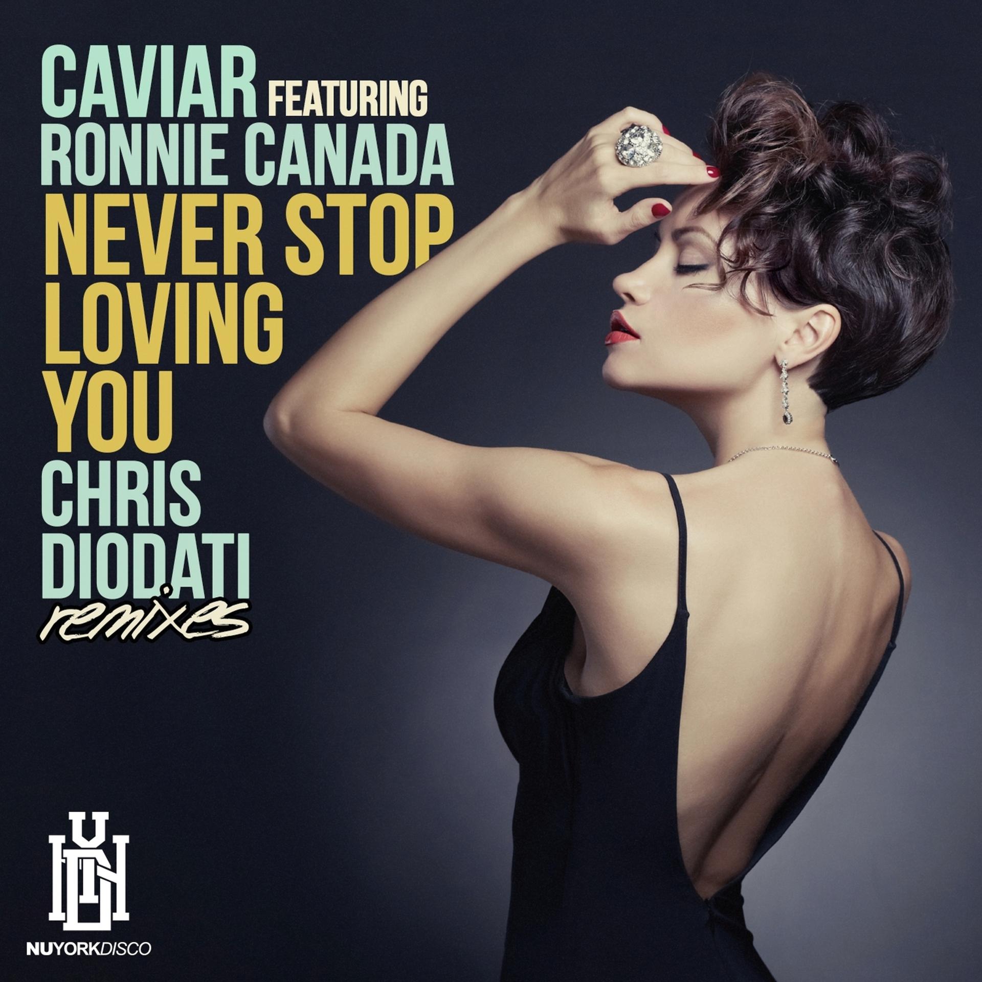 Постер альбома Never Stop Loving You (Chris Diodati Remixes)