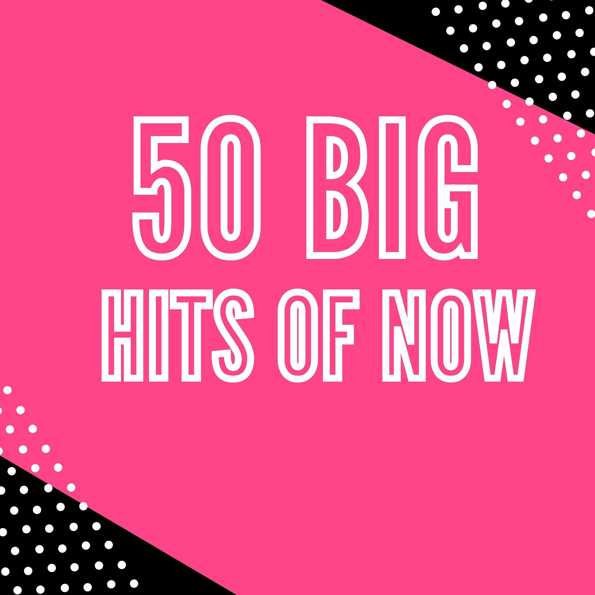 Постер альбома 50 Big Hits of Now