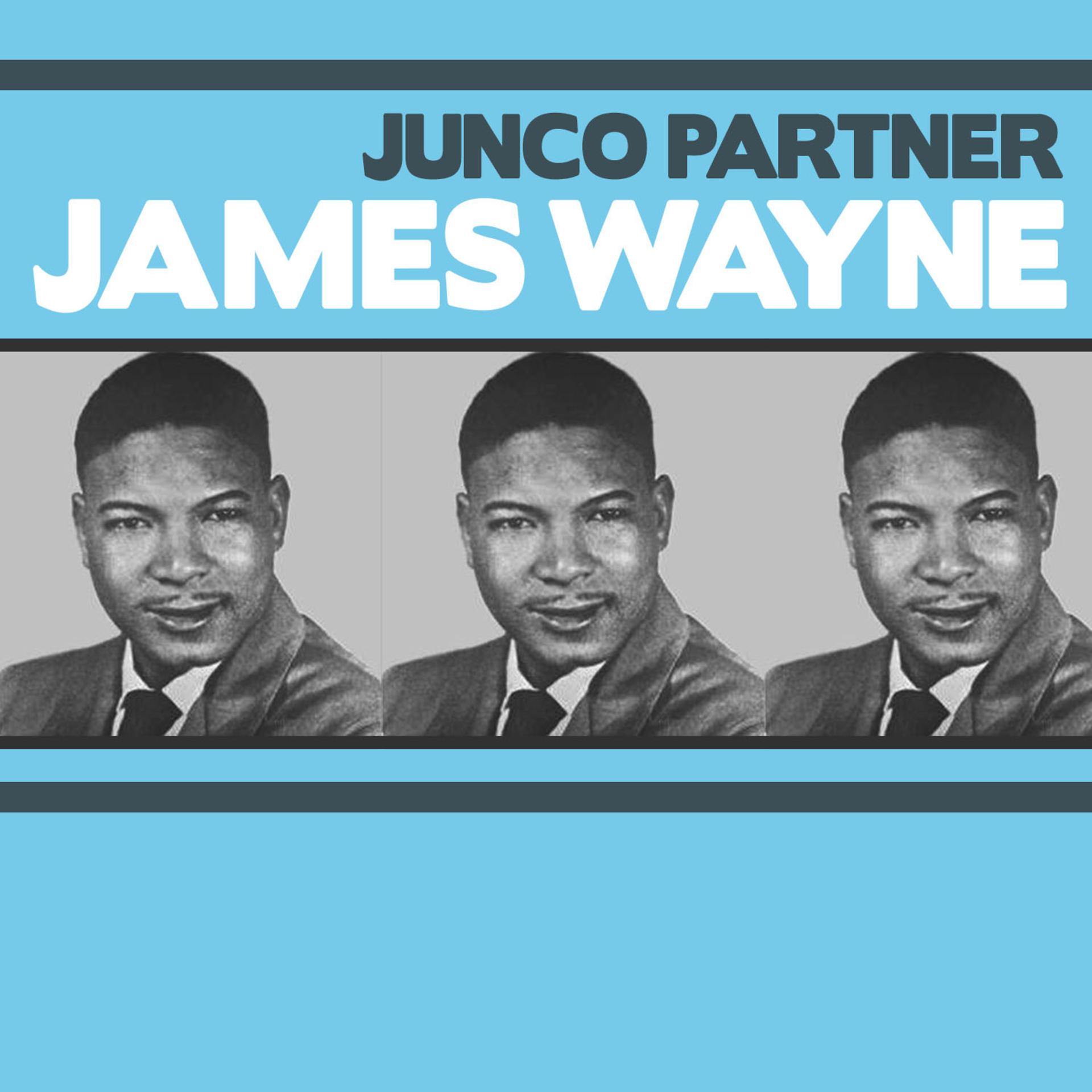 Постер альбома Junco Partner