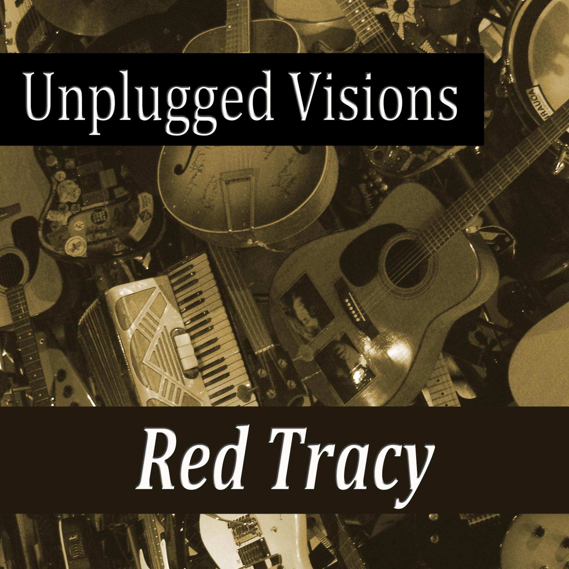 Постер альбома Unplugged Visions