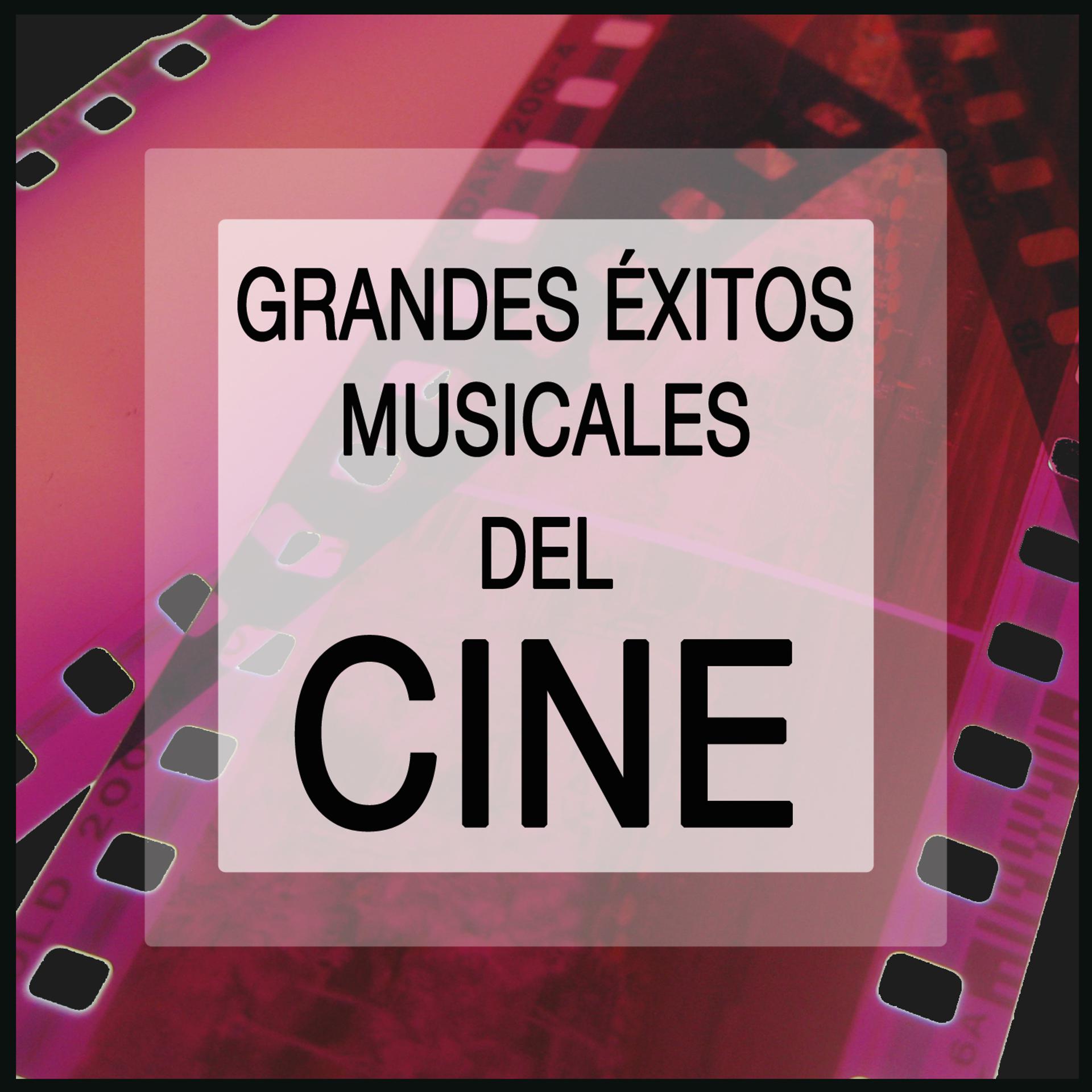 Постер альбома Grandes Éxitos Musicales del Cine: Las Mejores Canciones de Películas Famosas