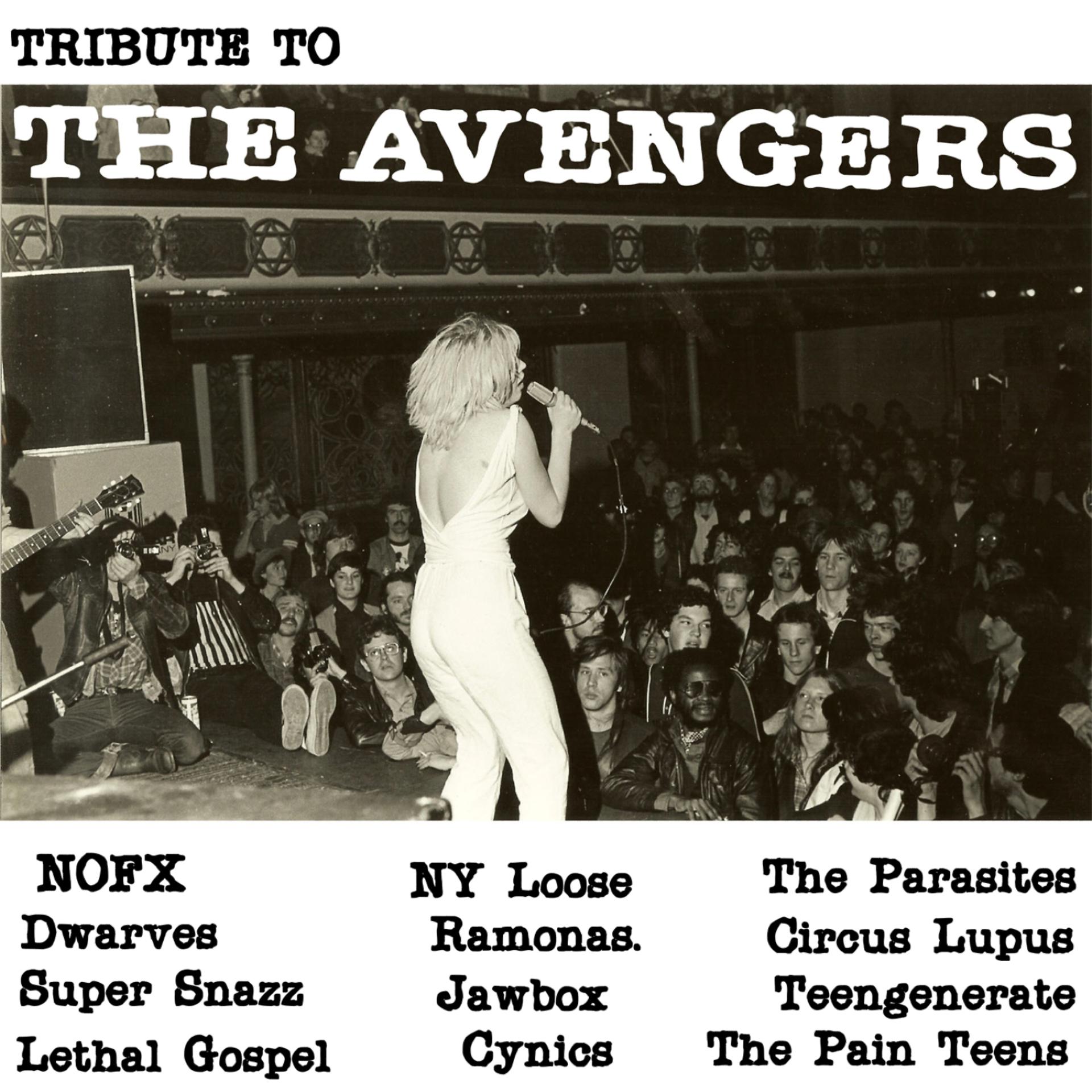 Постер альбома Tribute to the Avengers