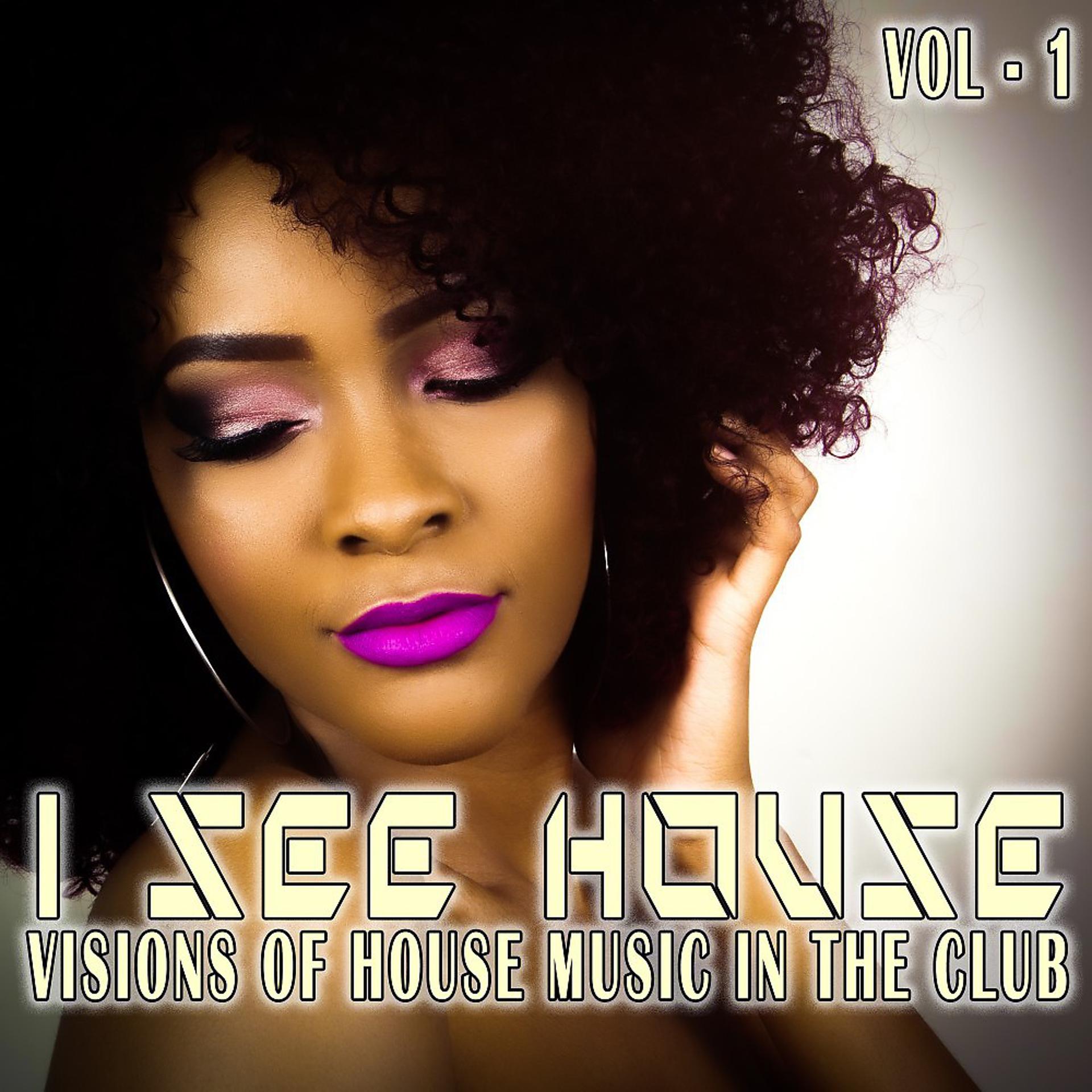Постер альбома I See House, Vol. 1 (Visions of House Music in the Club)