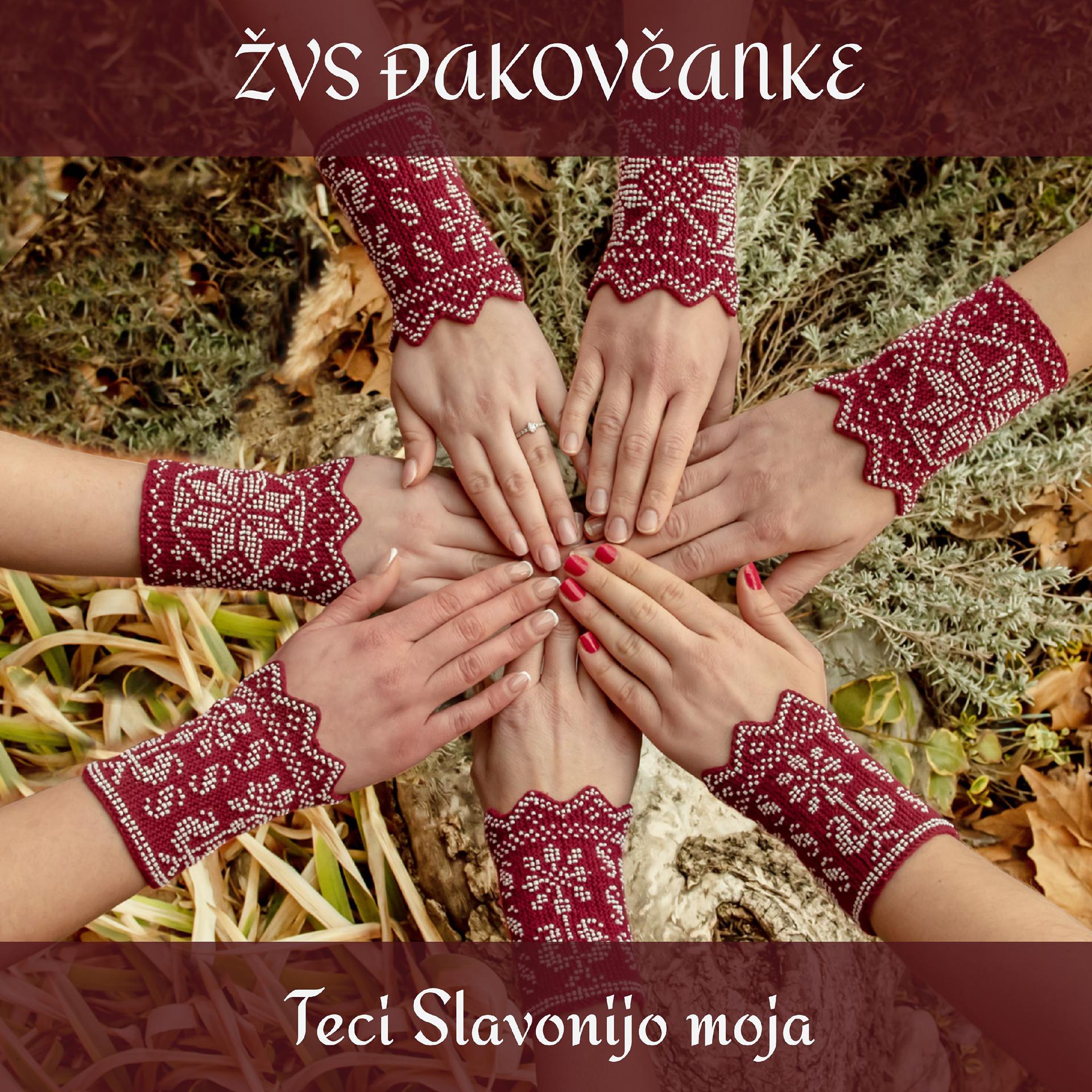 Постер альбома Teci Slavonijo Moja