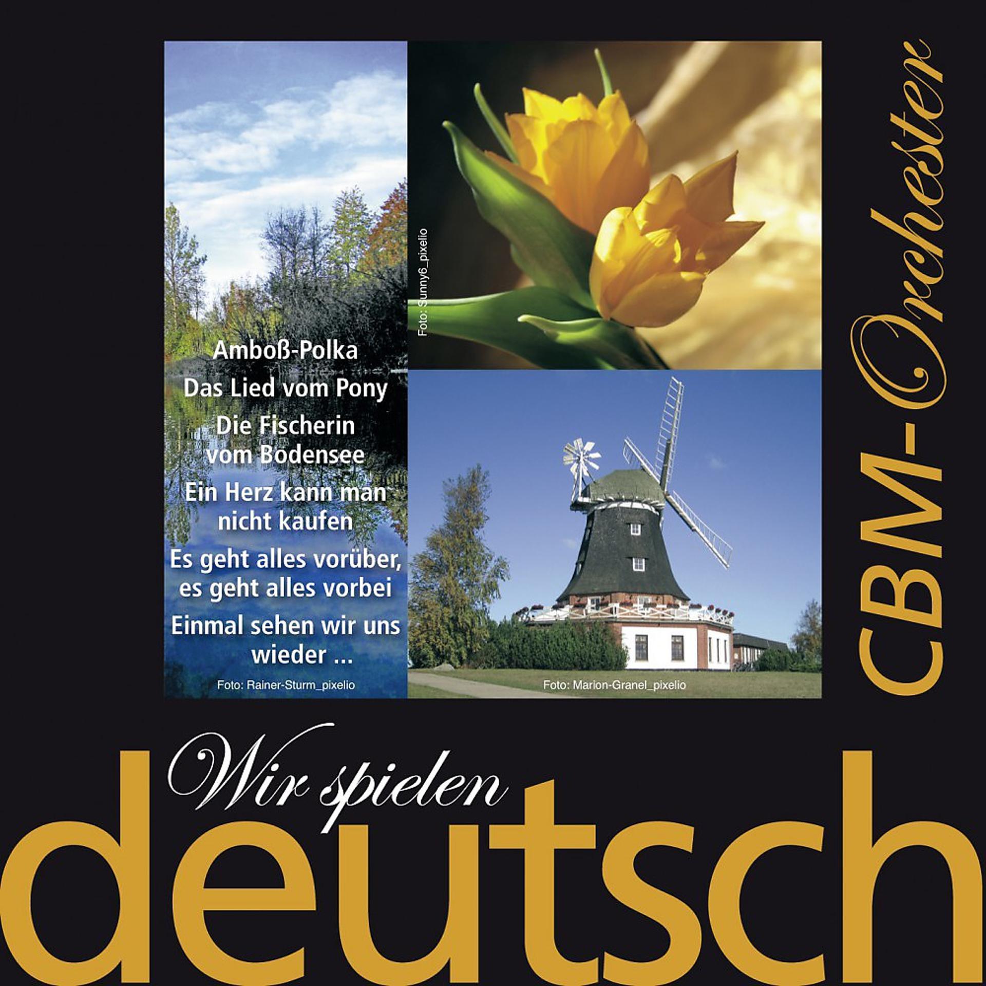 Постер альбома Wir spielen deutsch - Jahrhunderthits 1920-50 in Instrumental