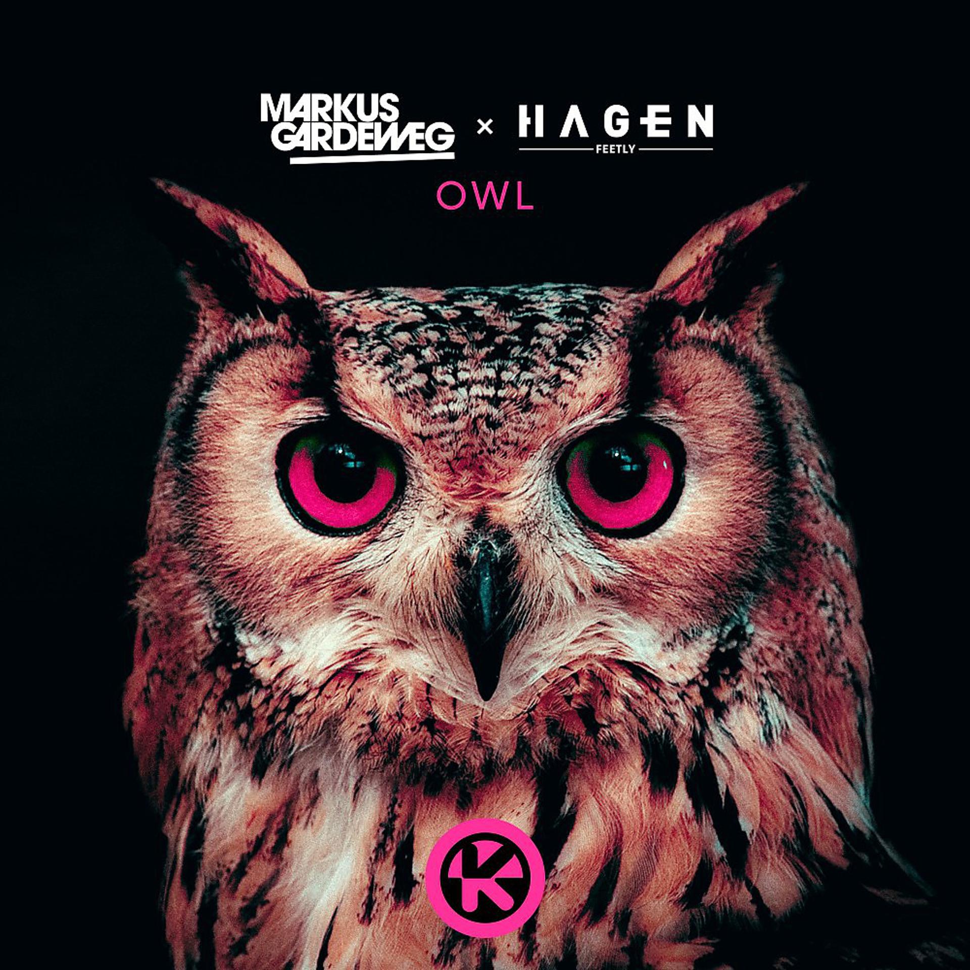 Постер альбома Owl