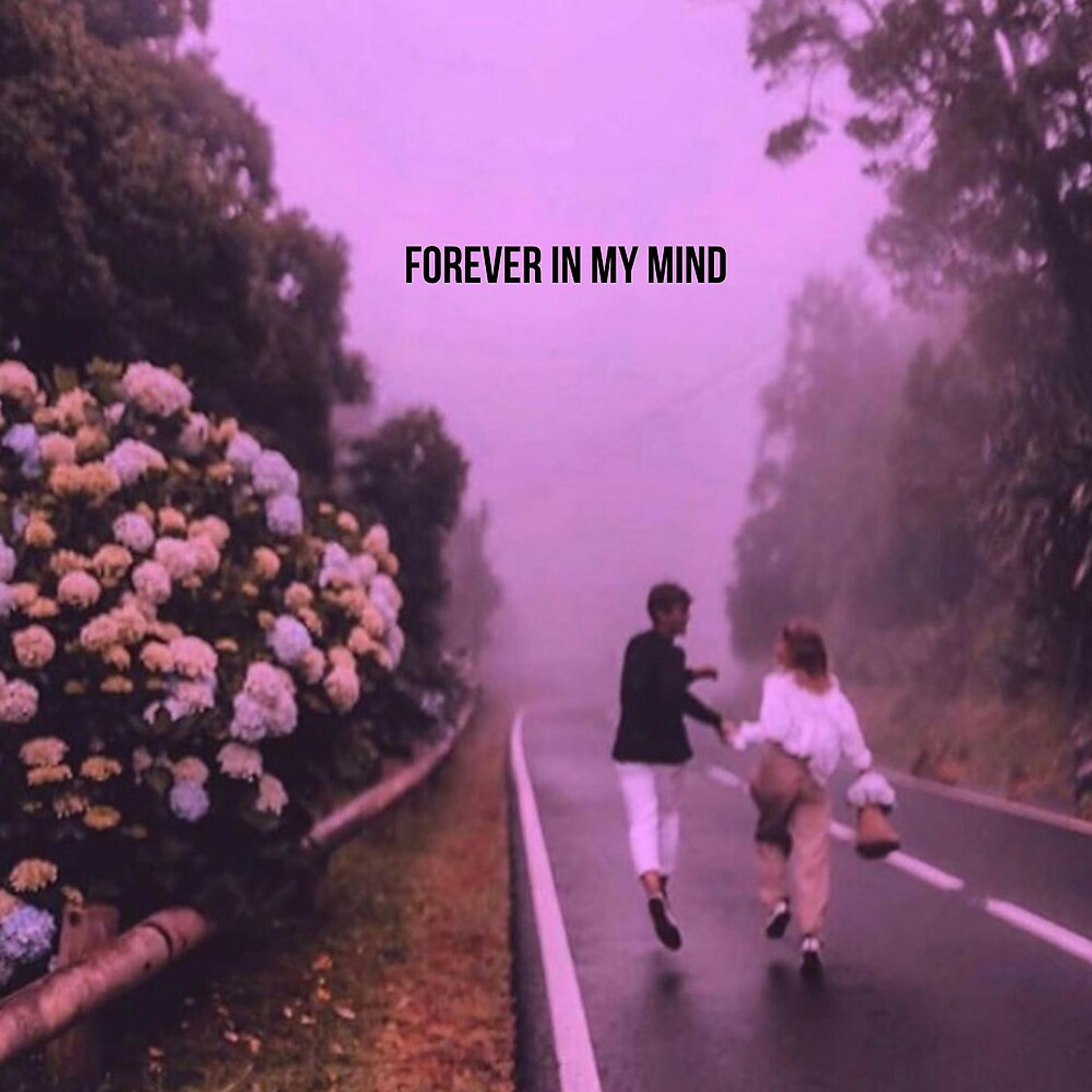Постер альбома Forever in My Mind