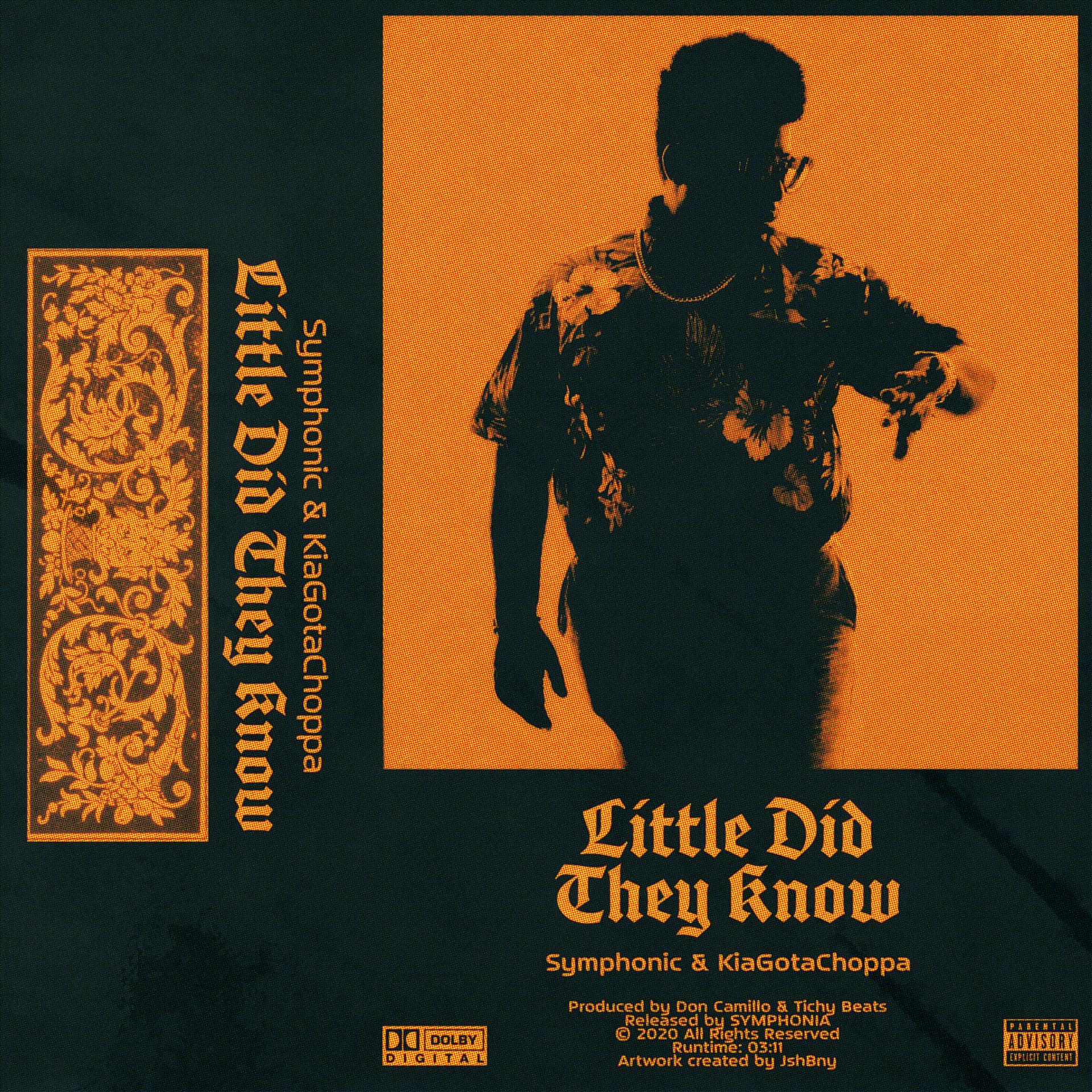 Постер альбома Little Did They Know (feat. KiaGotaChoppa)