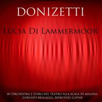 Постер альбома Donizetti: Lucia Di Lammermoor