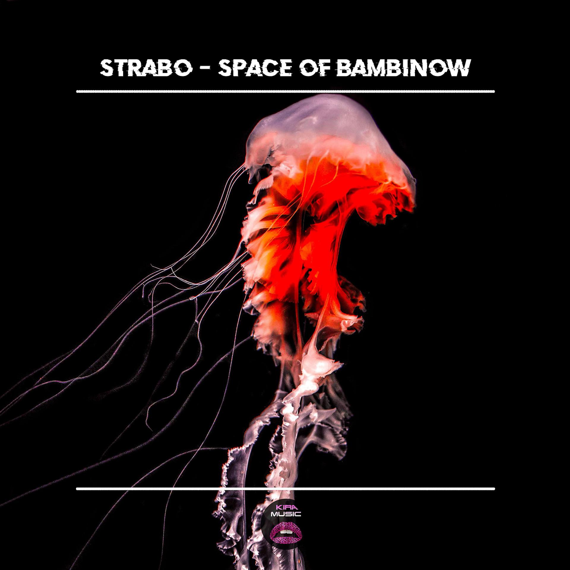 Постер альбома Space of Bambinow