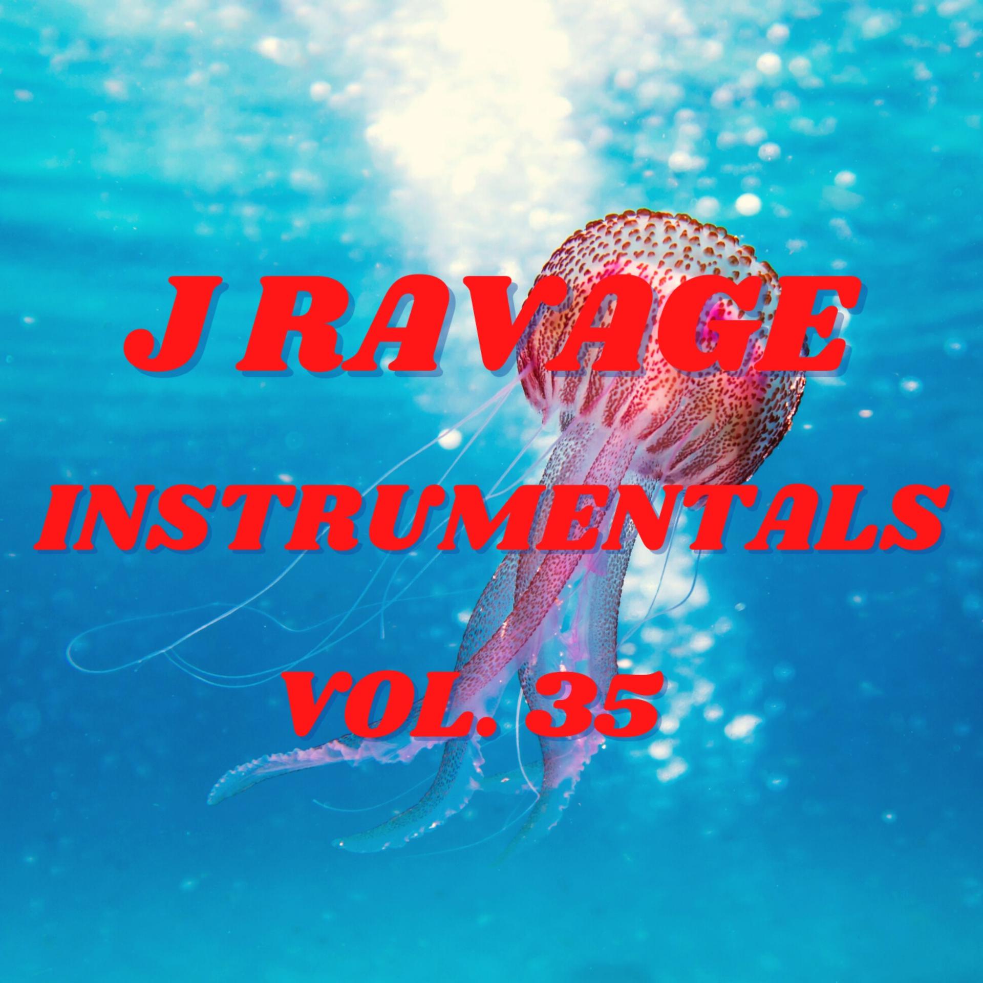 Постер альбома J Ravage Instrumentals, Vol. 35