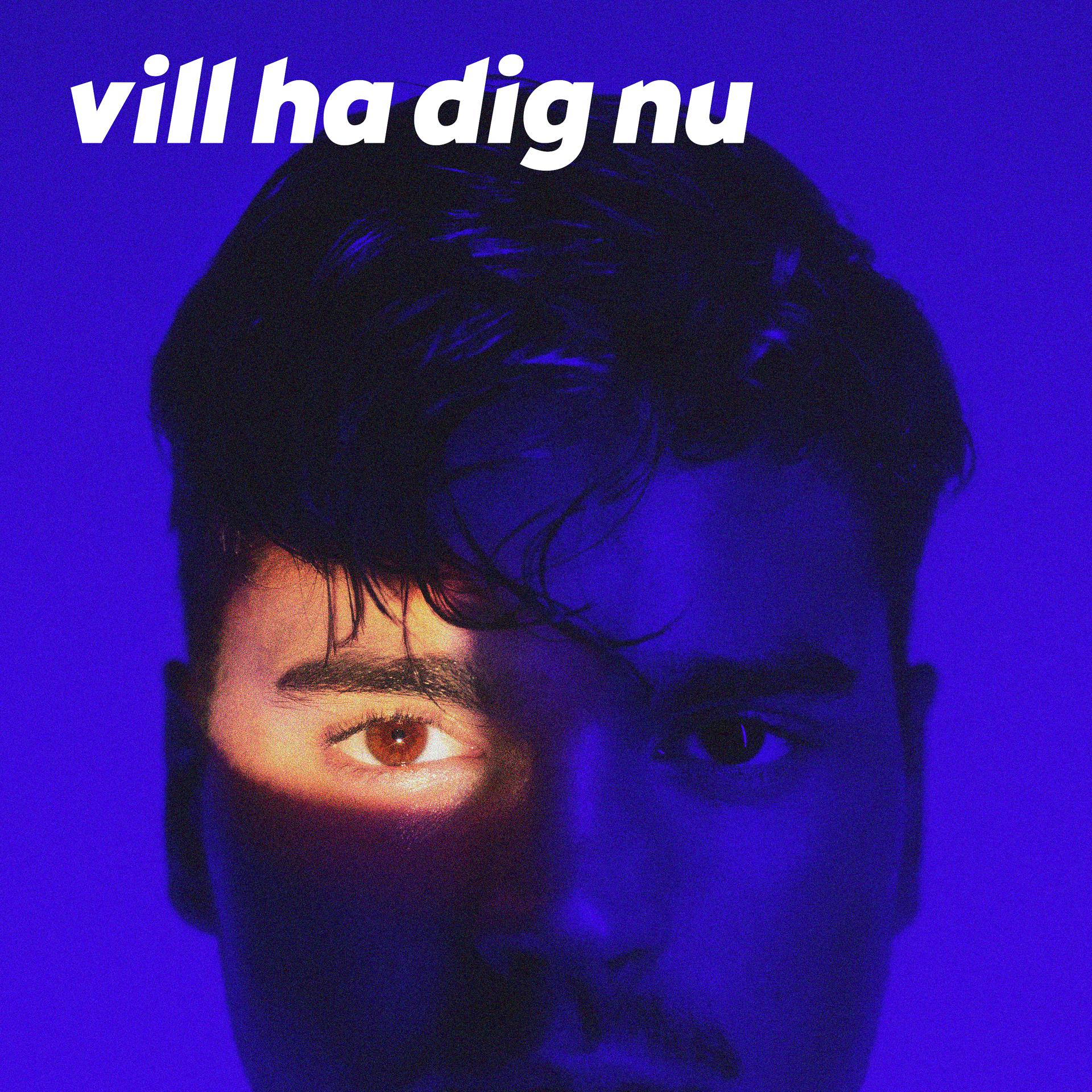 Постер альбома Vill ha dig nu