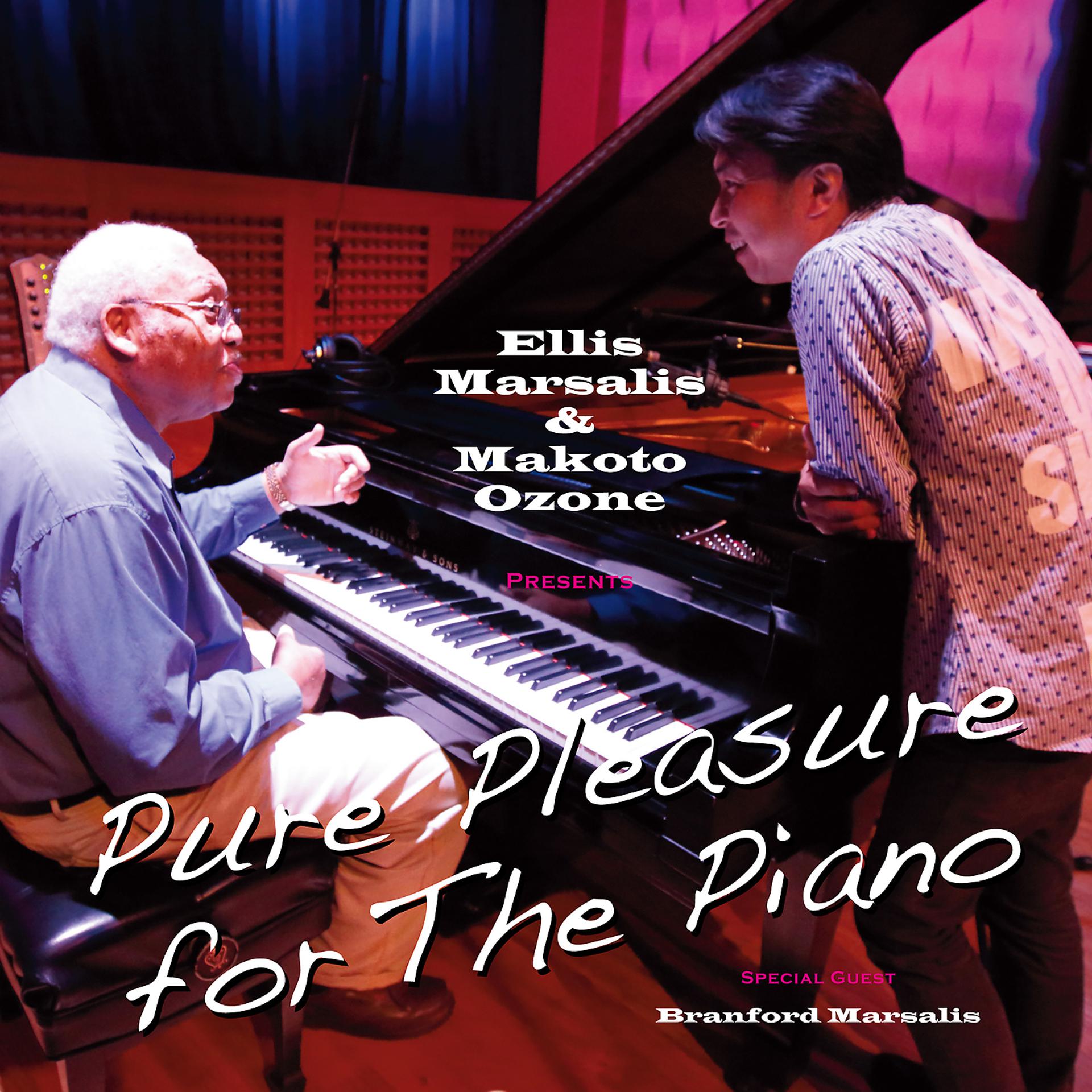 Постер альбома Pure Pleasure for The Piano