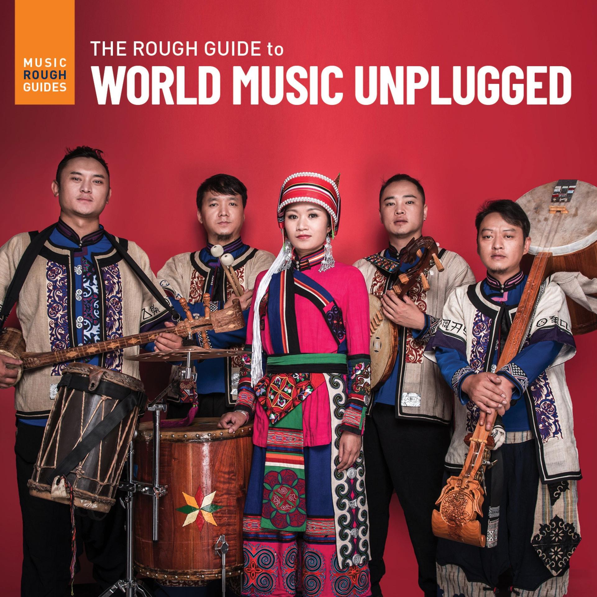 Постер альбома Rough Guide to World Music Unplugged