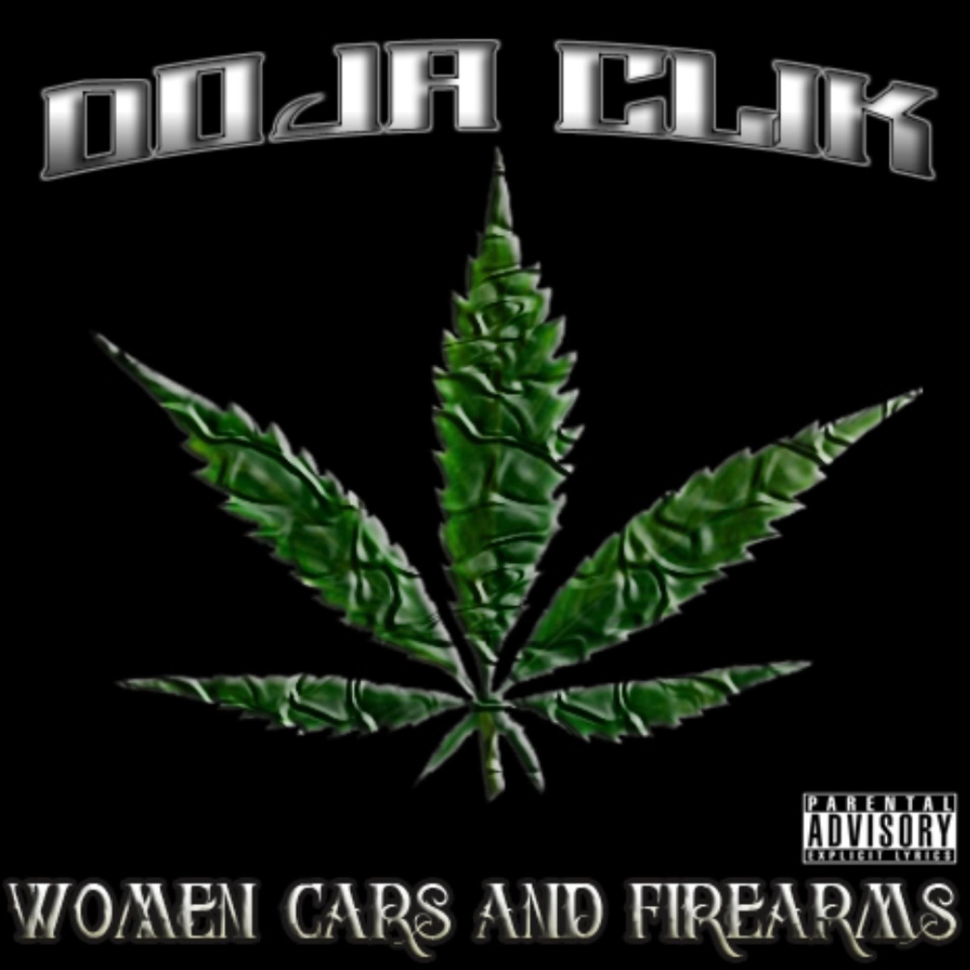 Постер альбома Woman, Cars & Fire Arms