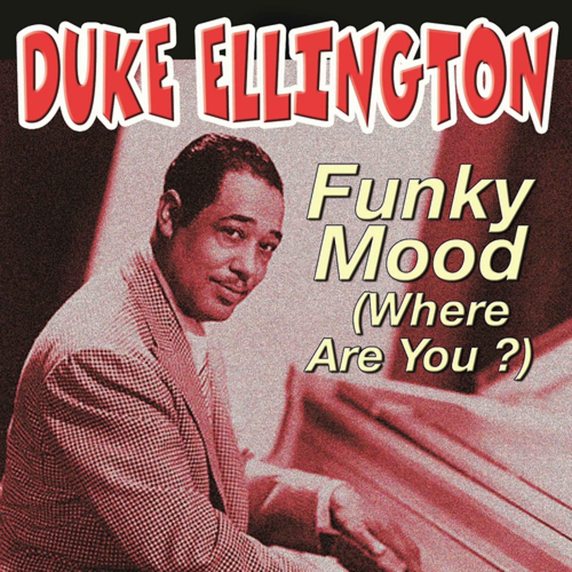 Постер альбома Funky Mood (Where Are You ?)