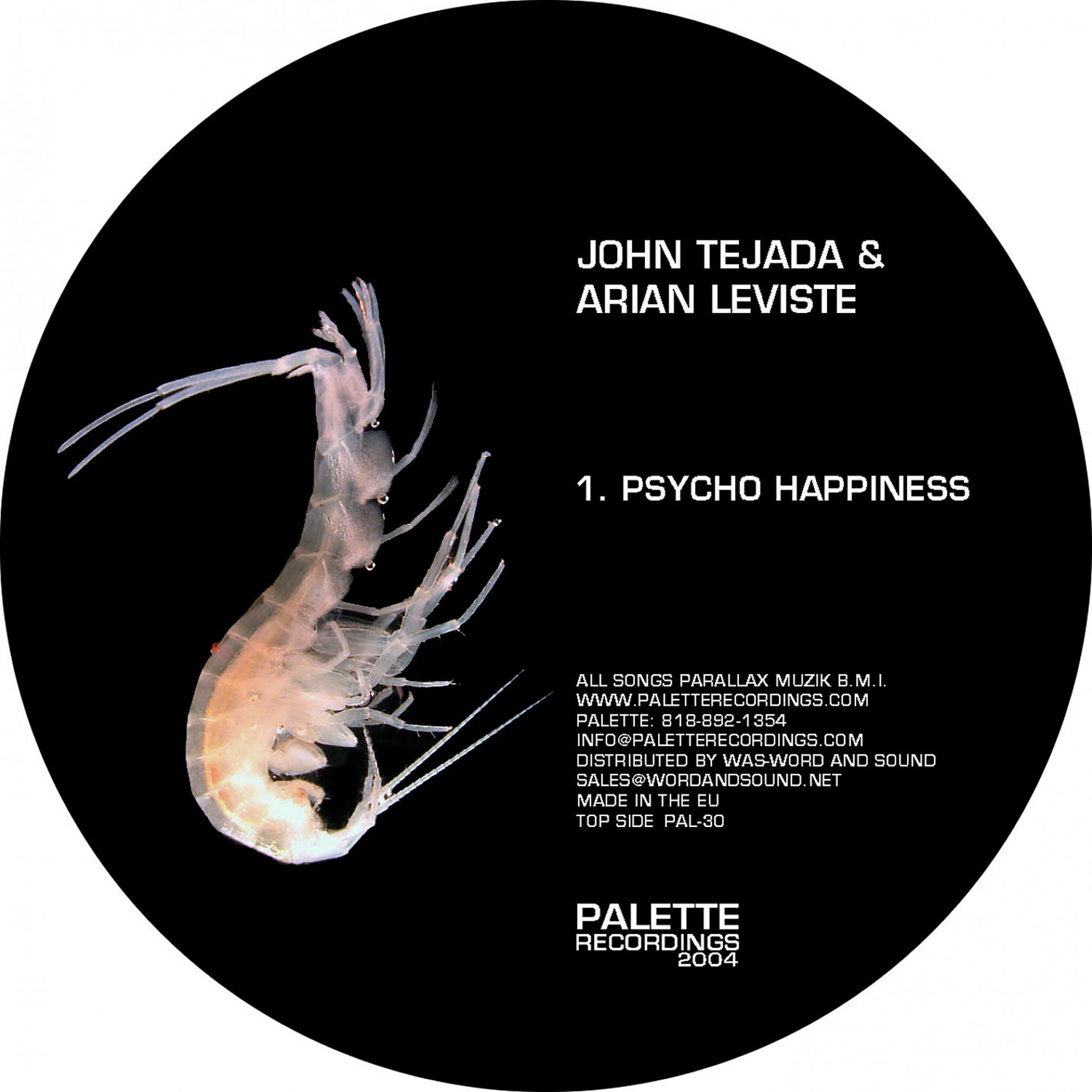 Постер альбома Psycho Happiness